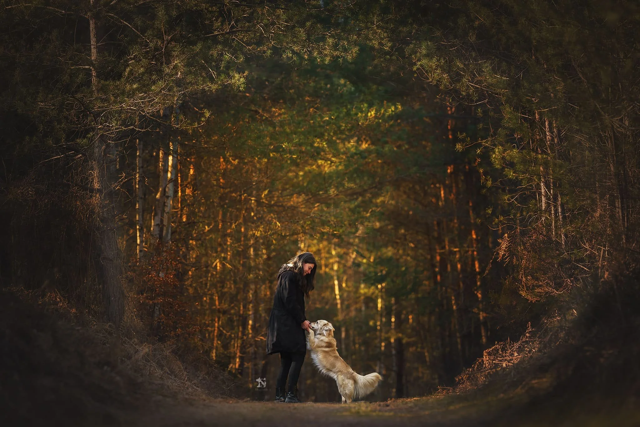 Sunny & Audrey - Paw Prints Photography.jpg