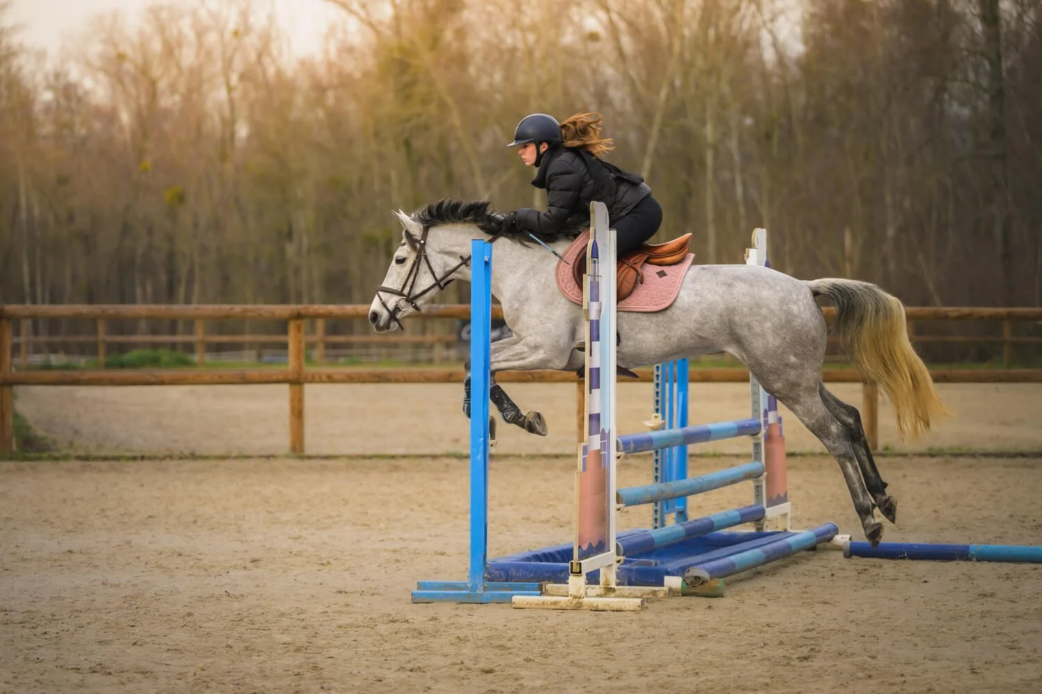 Entraînement saut d'obstacles Val de Seine - Elisa Garcia photography