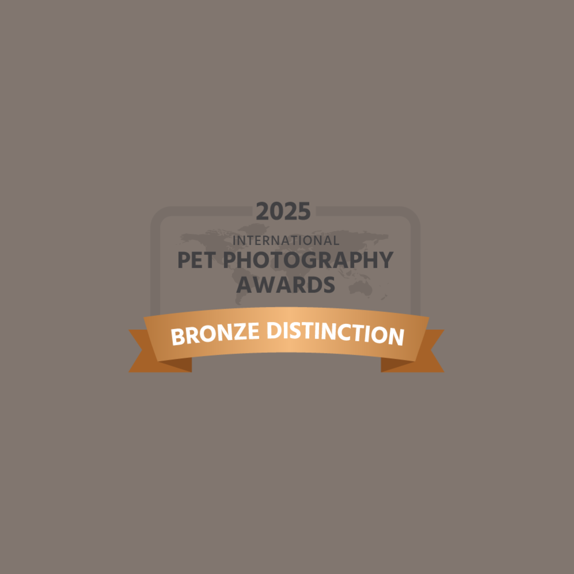 2025 concours international de photographie animalière - distinction Bronze (entre bronze & argent) 