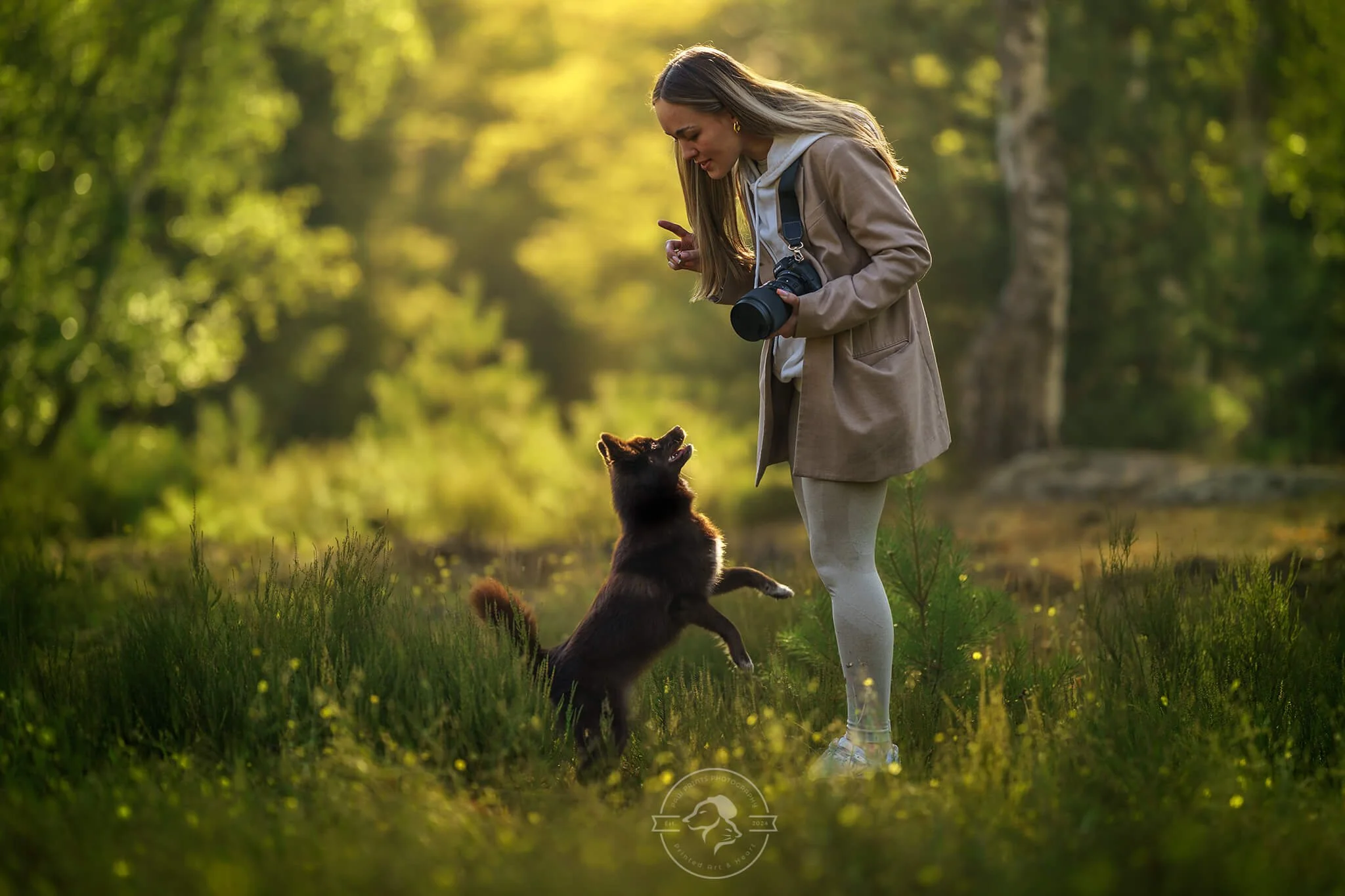 Shooting photo chien & humain Fontainebleau