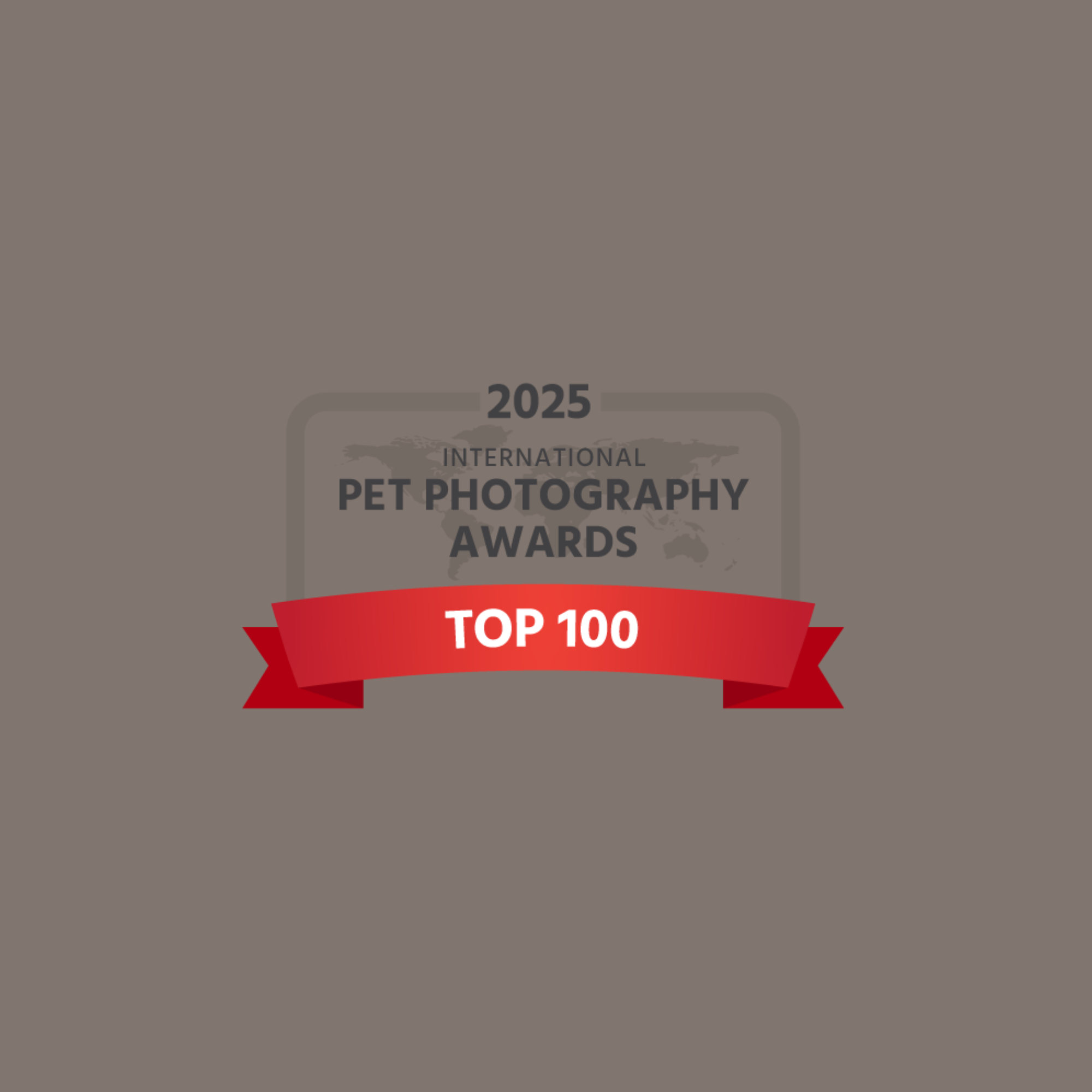 2025 Top 100 meilleures image monde 
- concours de photographie animalière internationale