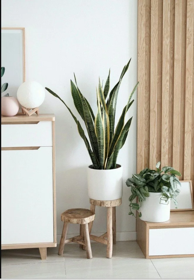 Small Space, Big Style: Decorating Your BR Apartment