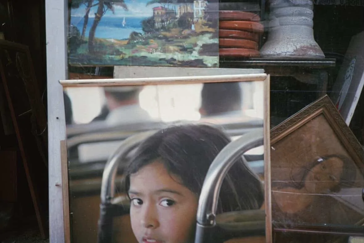 Catch and Release by Moujan Ardani