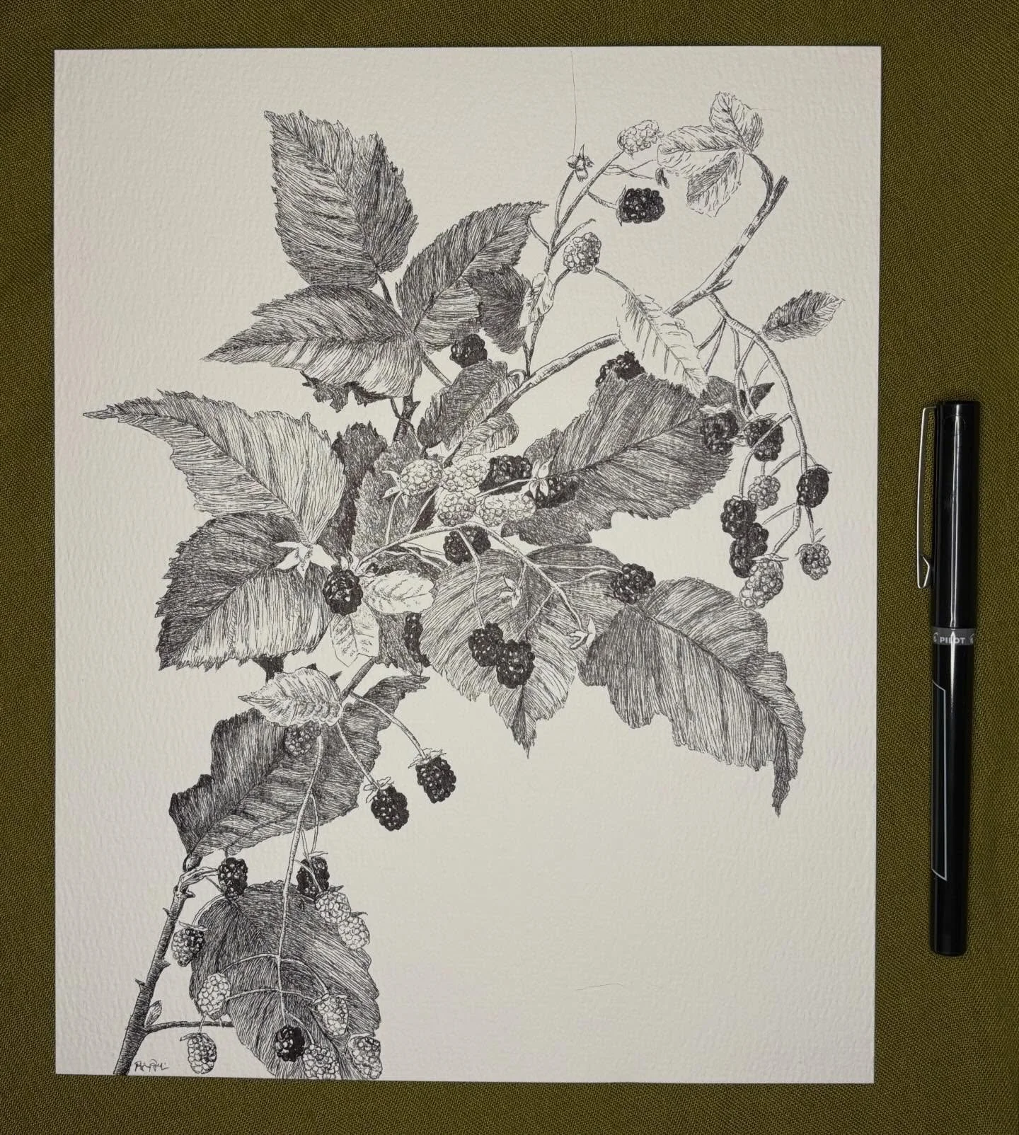 Inspired by &ldquo;Blackberries&rdquo;, a piece made by Ellen Thayer Fisher in the 1890s.