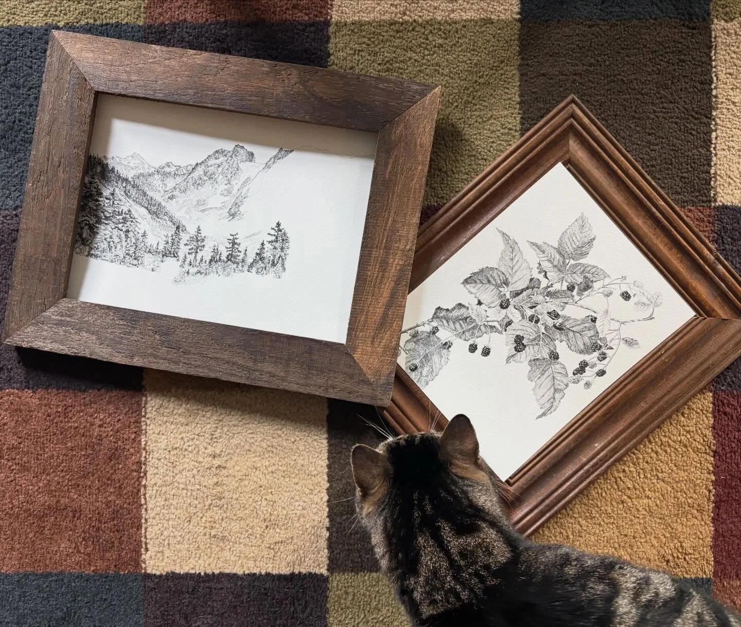 Proud to say that every frame is carefully curated (and sniffed) in house (by Teddy) before being shared with the world