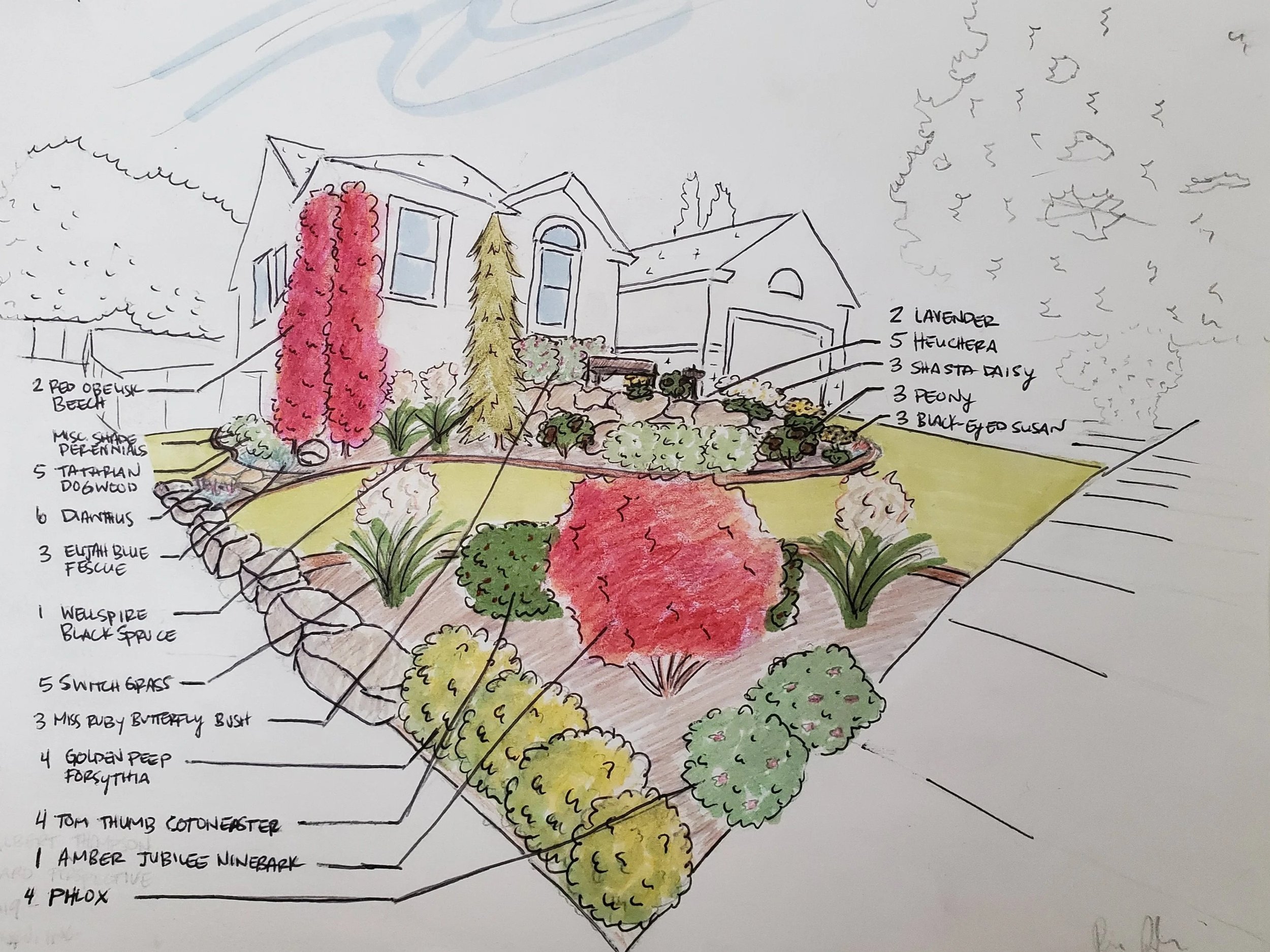 Lisa+Thompsen+perspective+planting+plan.jpg
