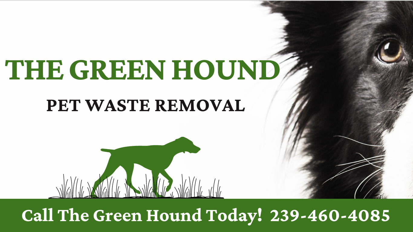 Cape Coral Dog Waste Removal The Green Hound Poop Scoopers