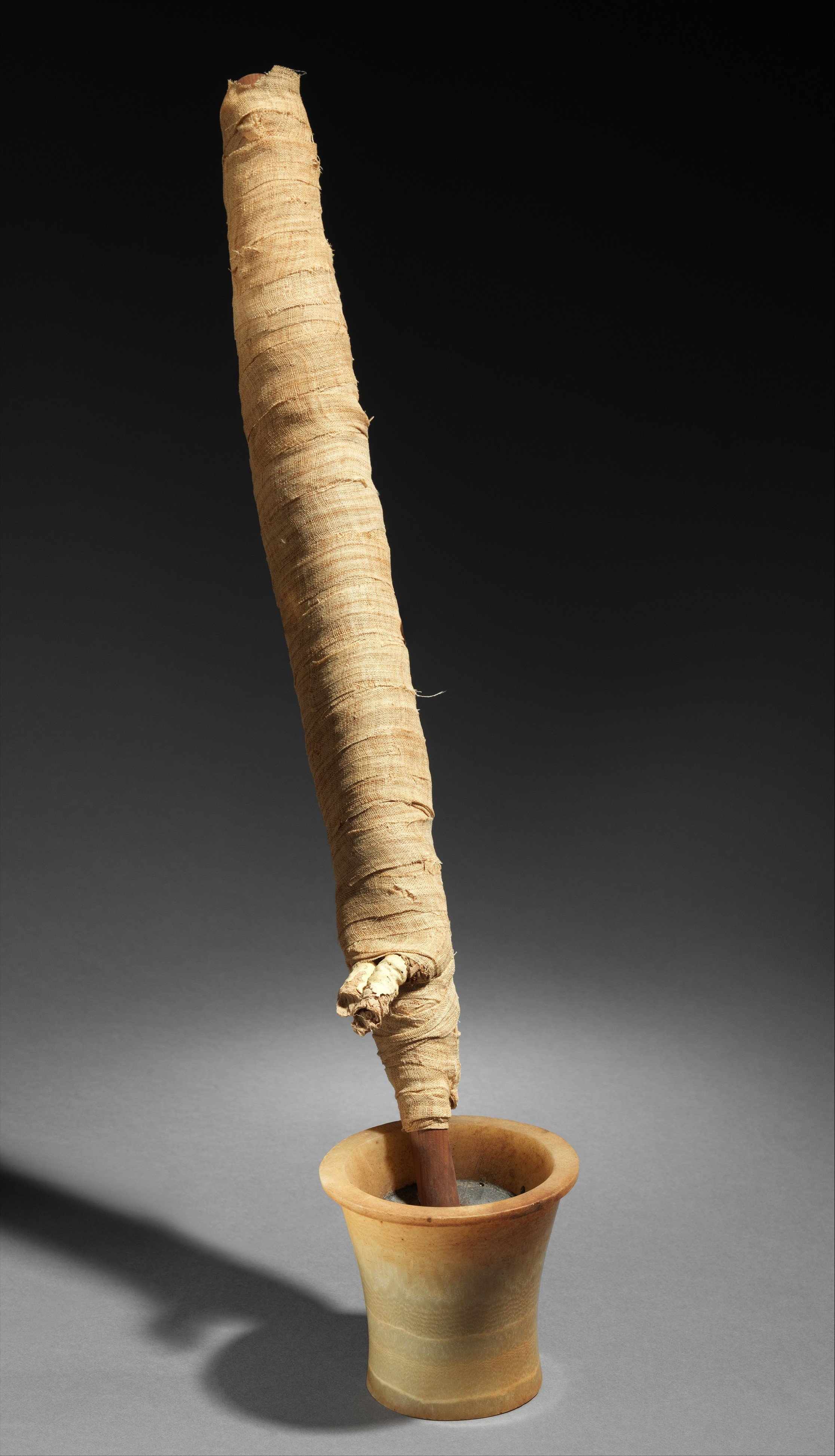 Figure 14. Imiut fetish in a jar of resin. Middle Kingdom (The Met)