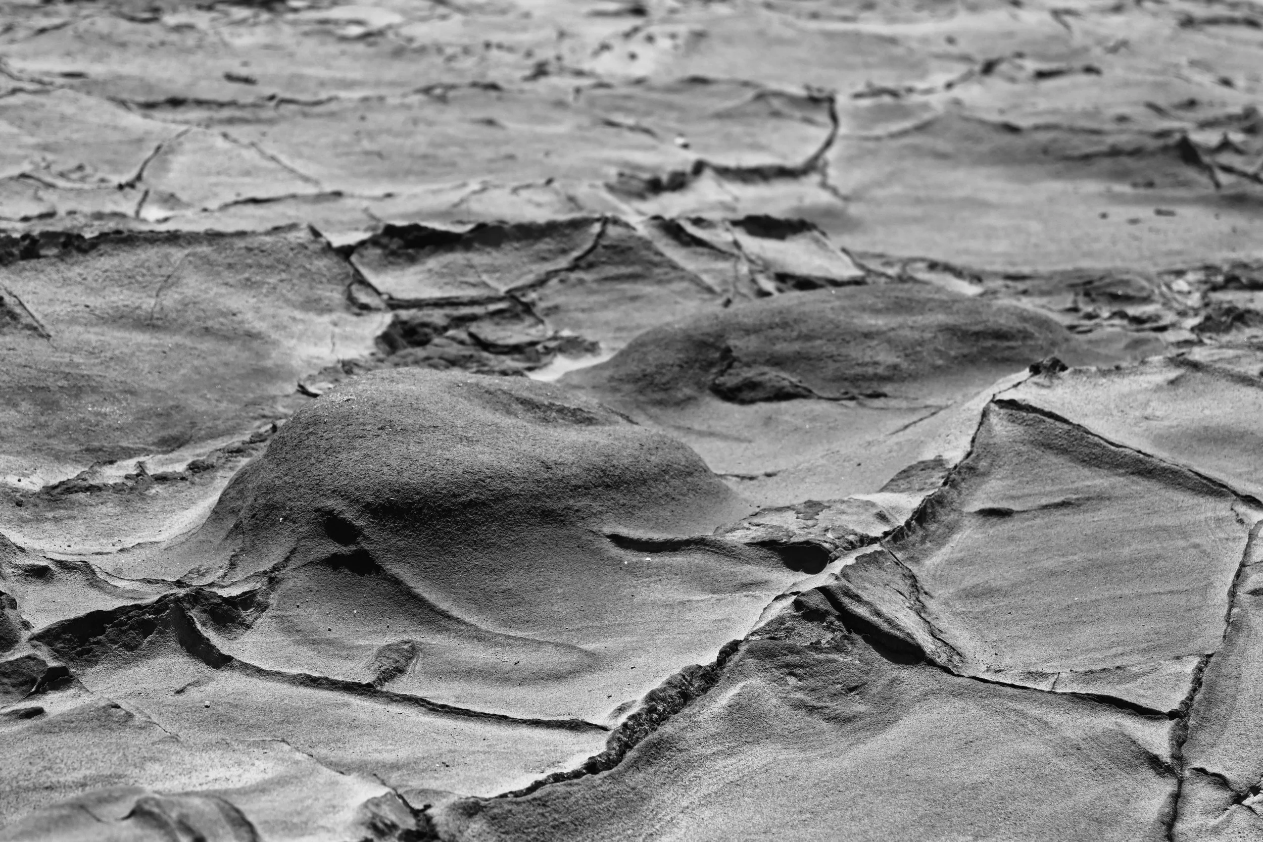 DSC_0087BW.jpg