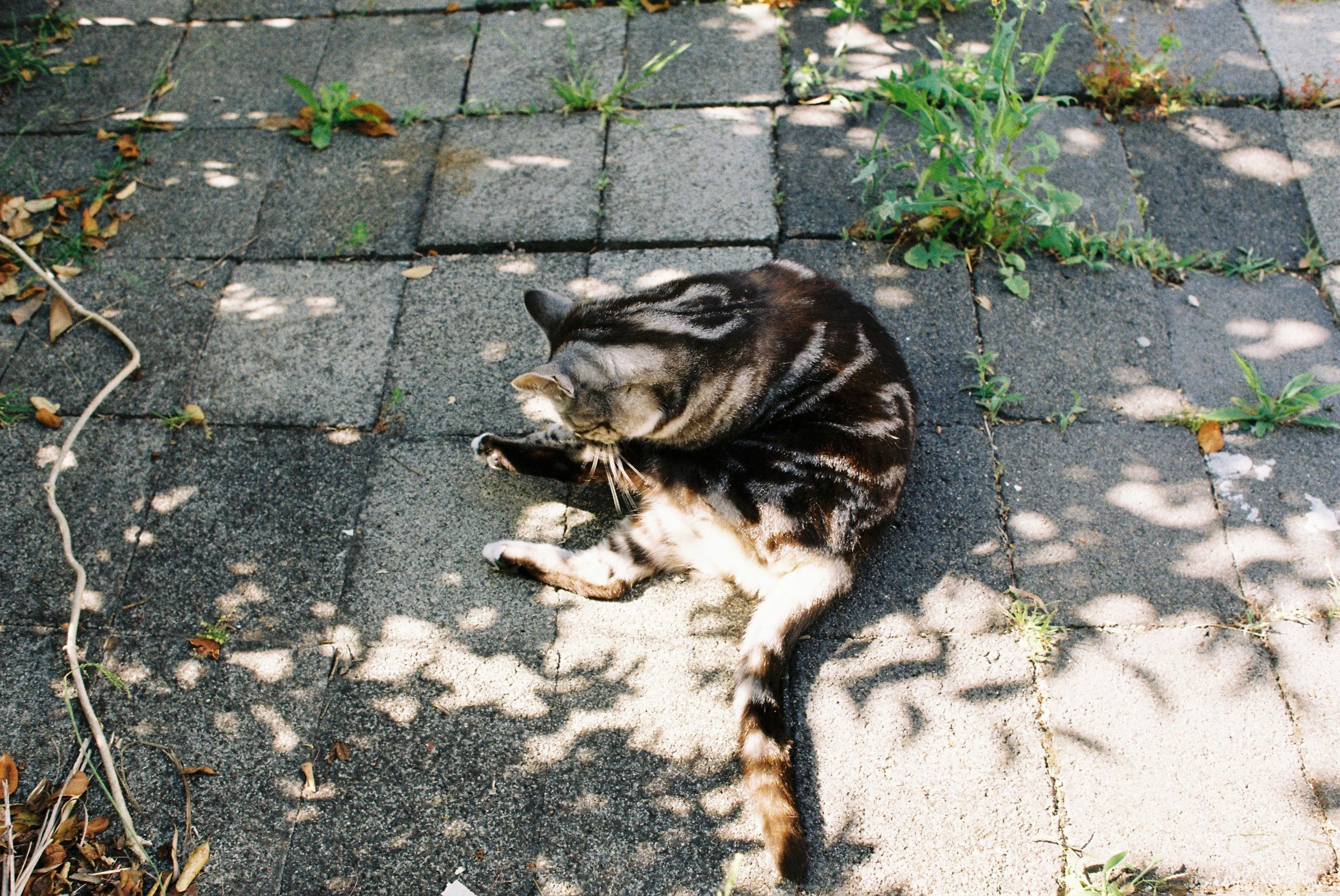 KarenLau009086--000026.jpg