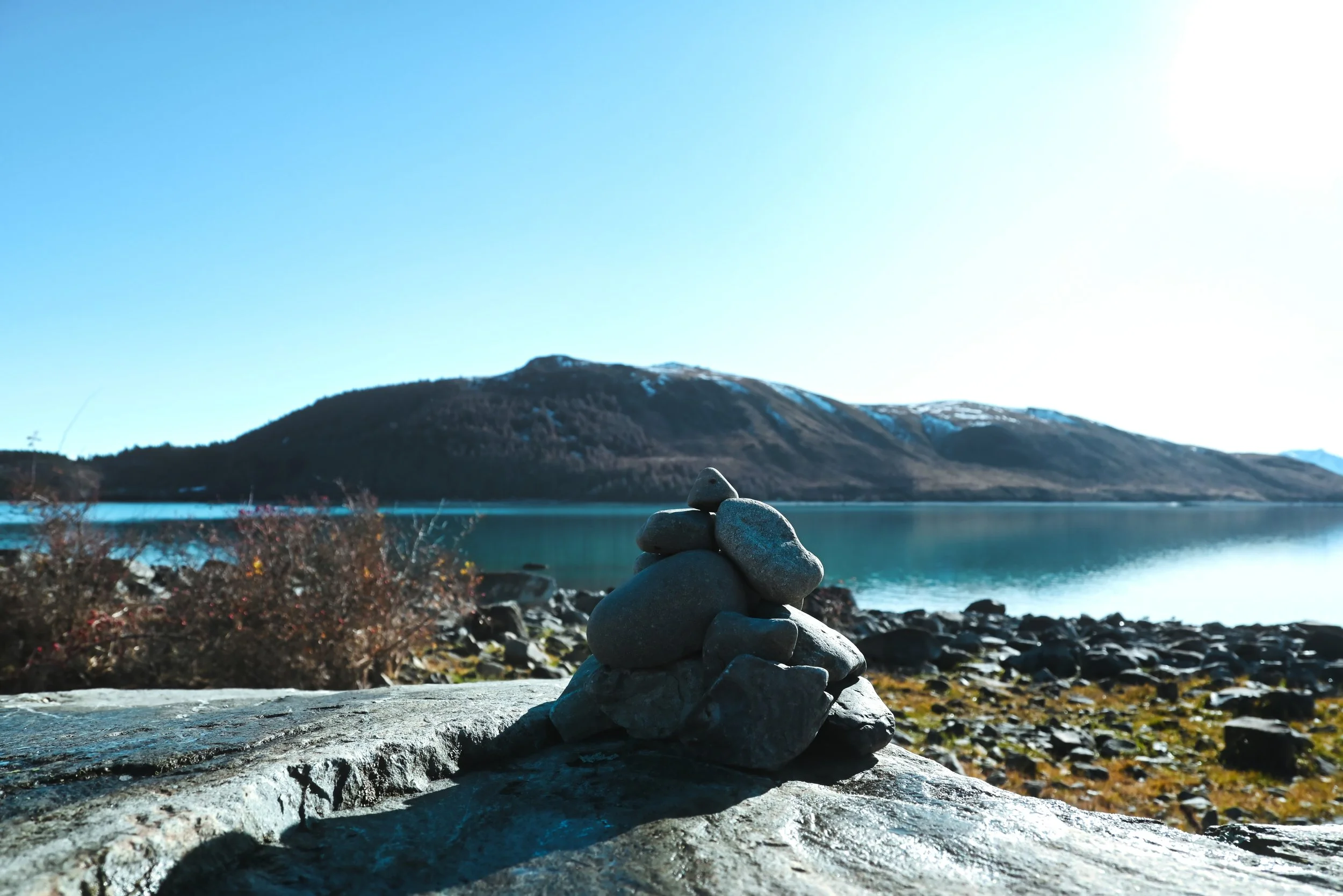 DSC_0464.jpg