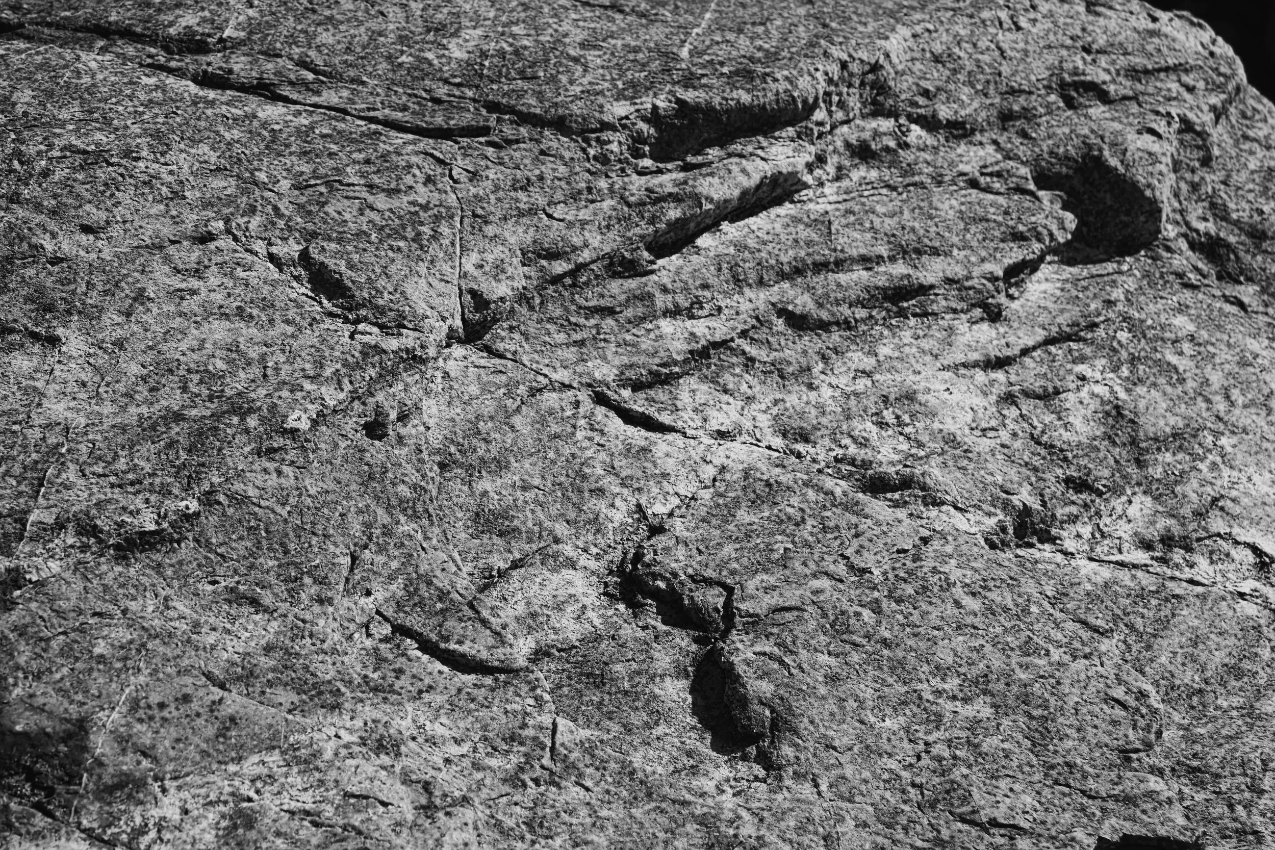 DSC_0476bw.jpg