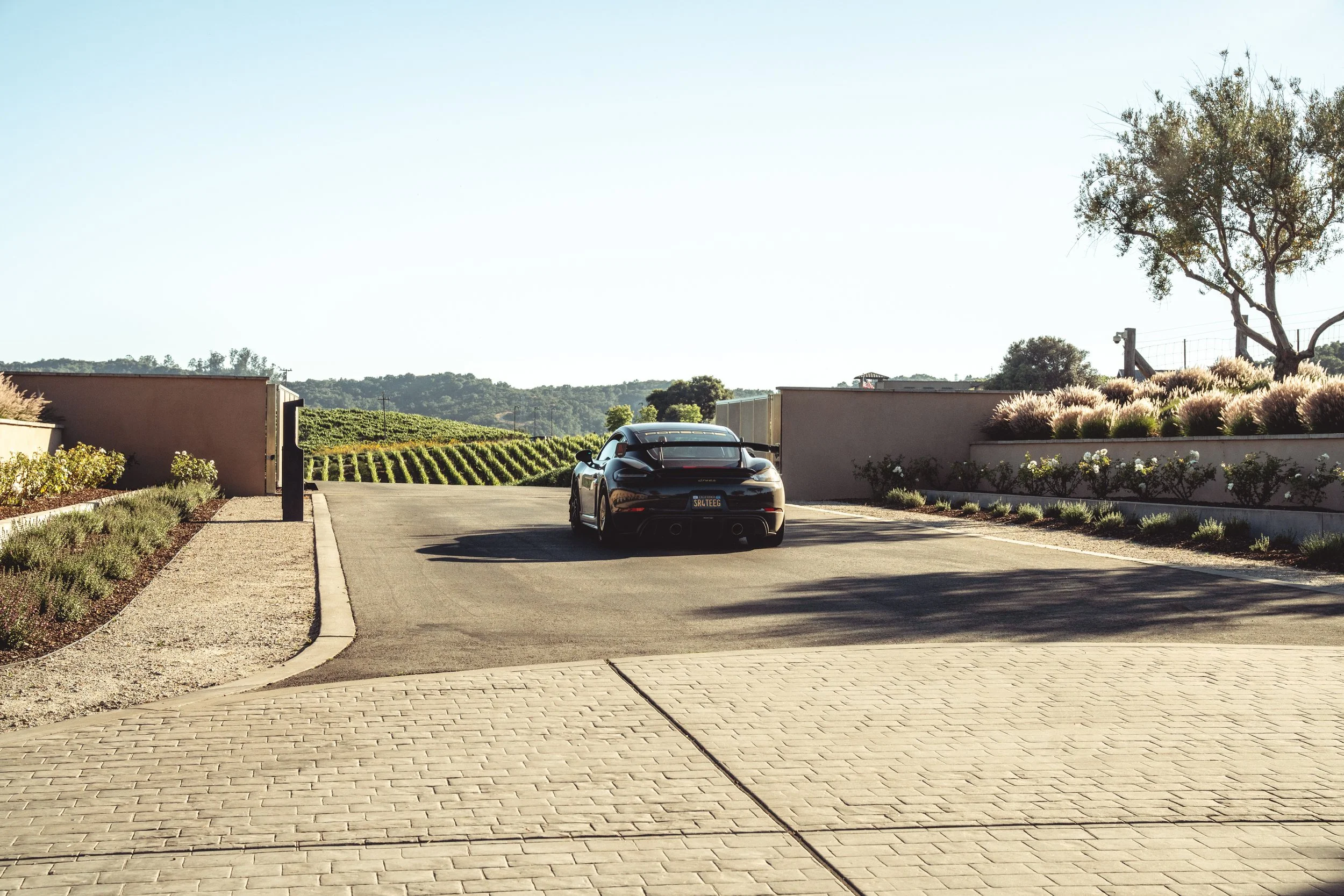 Avila Beach Rally 2024 | Visual Recap — Petersen Automotive Museum