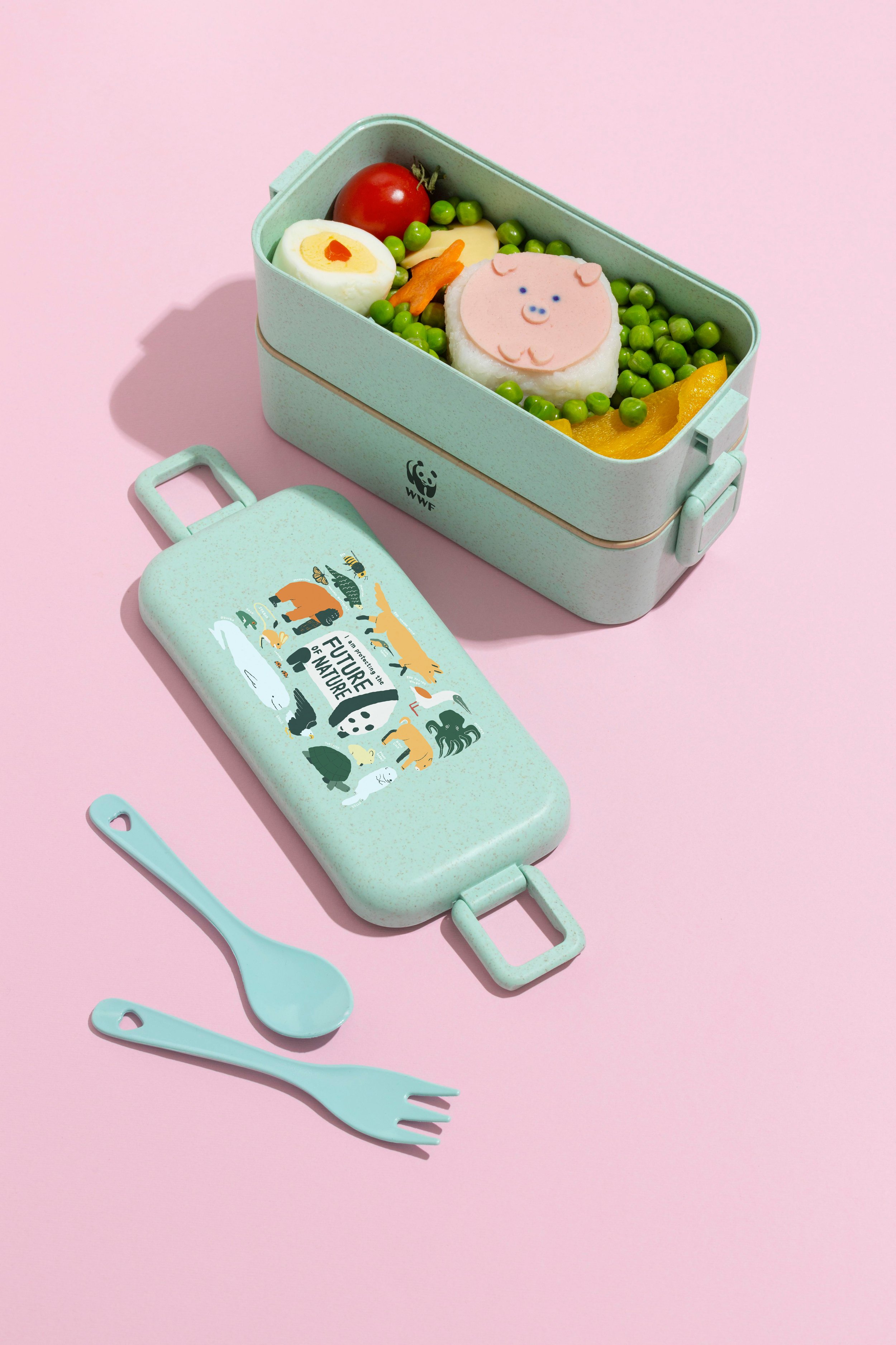 Bento Box