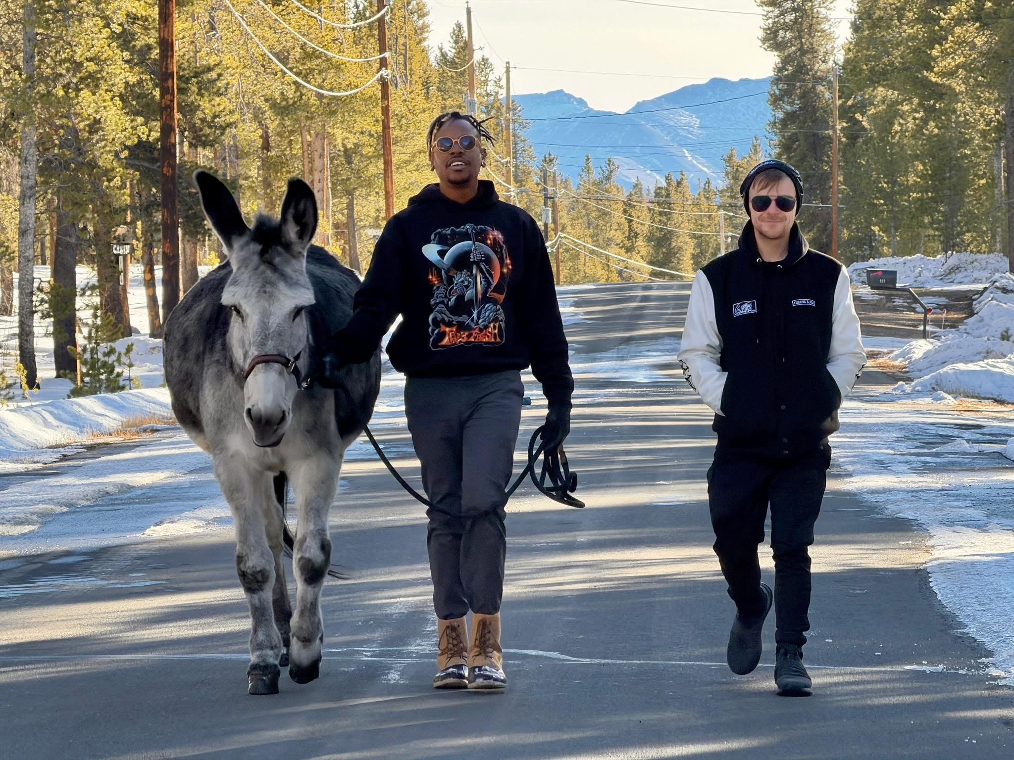 Arrington walking a donkey