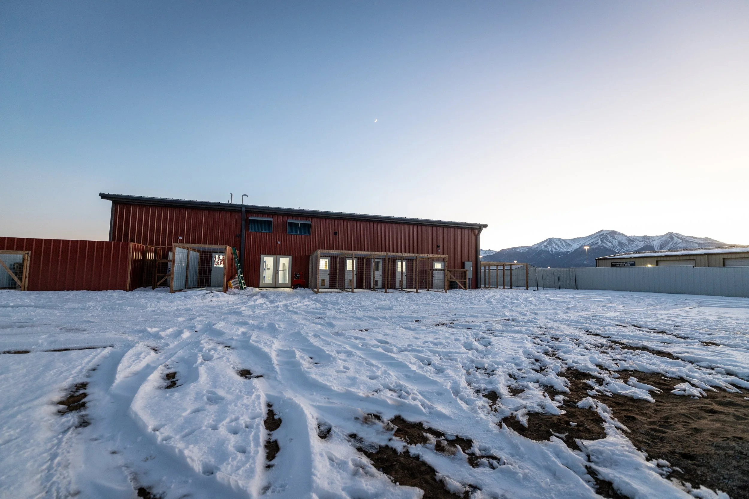 Large snowy secure play yard for Dogs