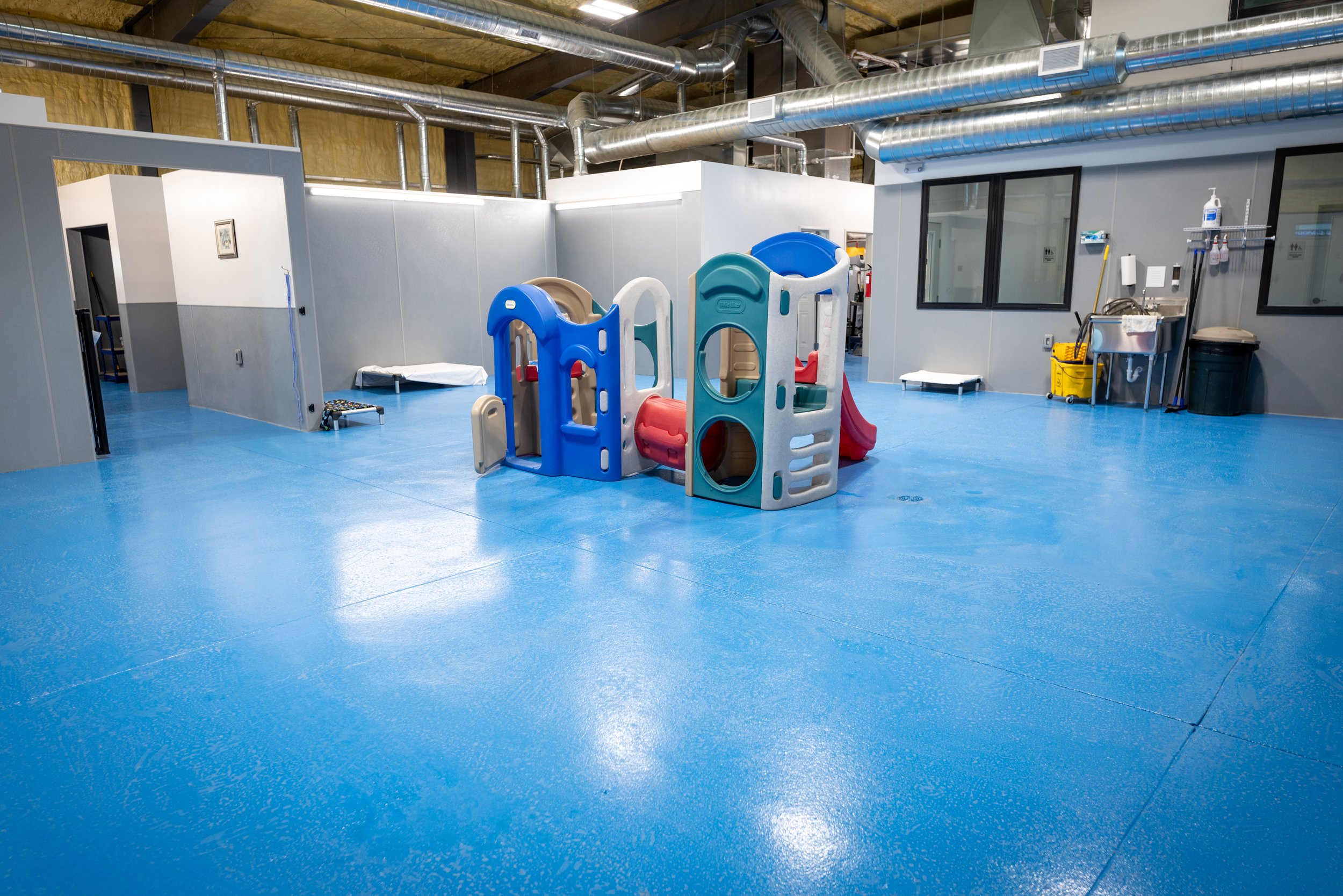 Clean Large Indoor Play Area with play set for dogs