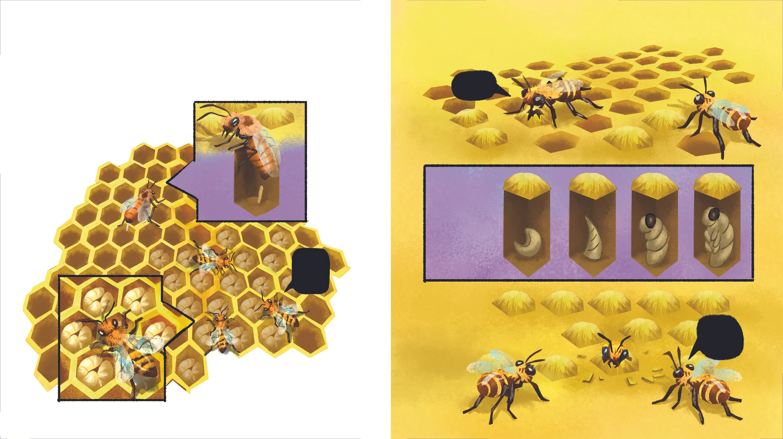 Page_6_7_Final copy.jpg