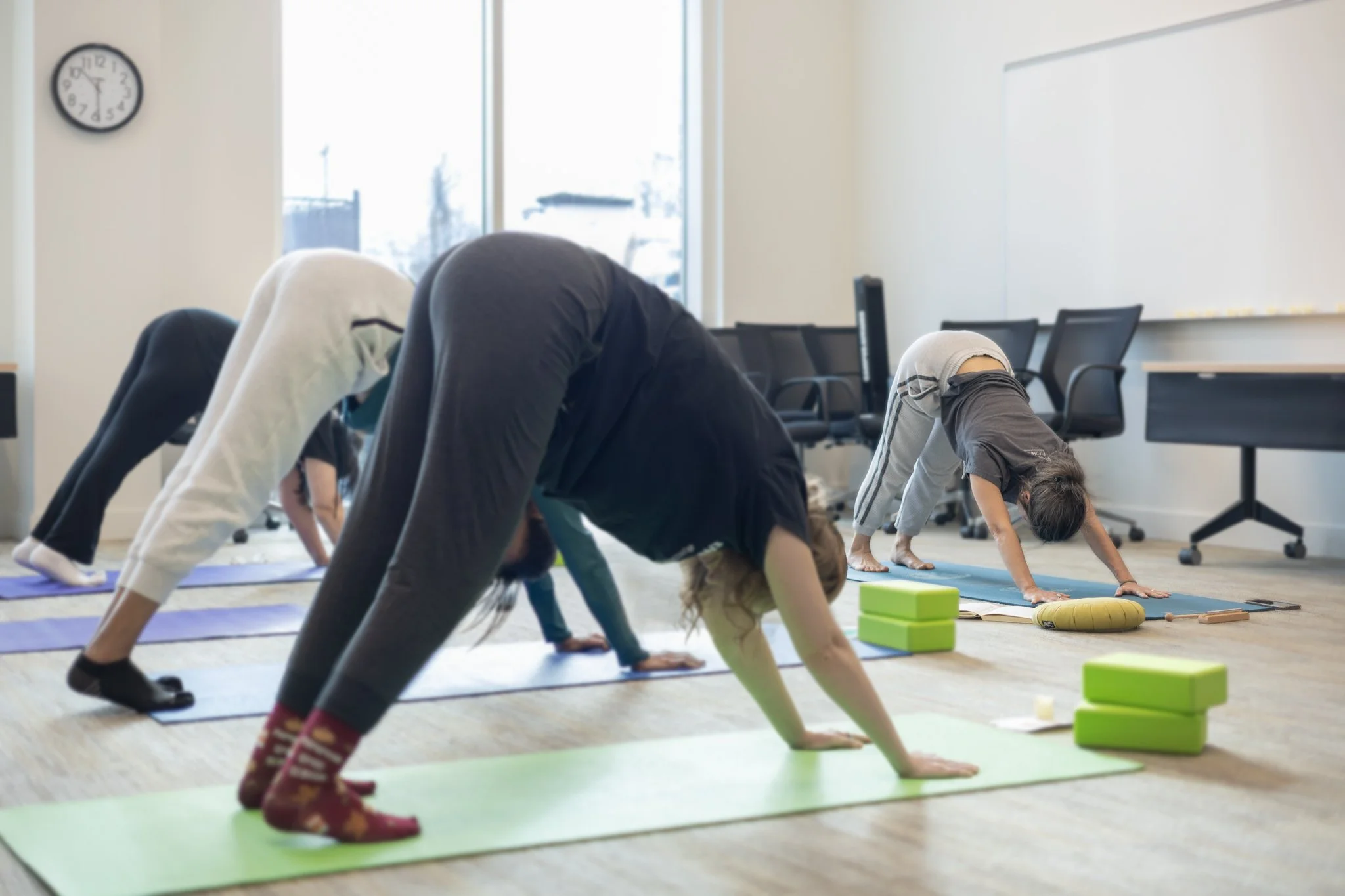 2025_12_12_IMG_0788 Yoga Class - Downward-Facing Dog Yoga Pose.jpg
