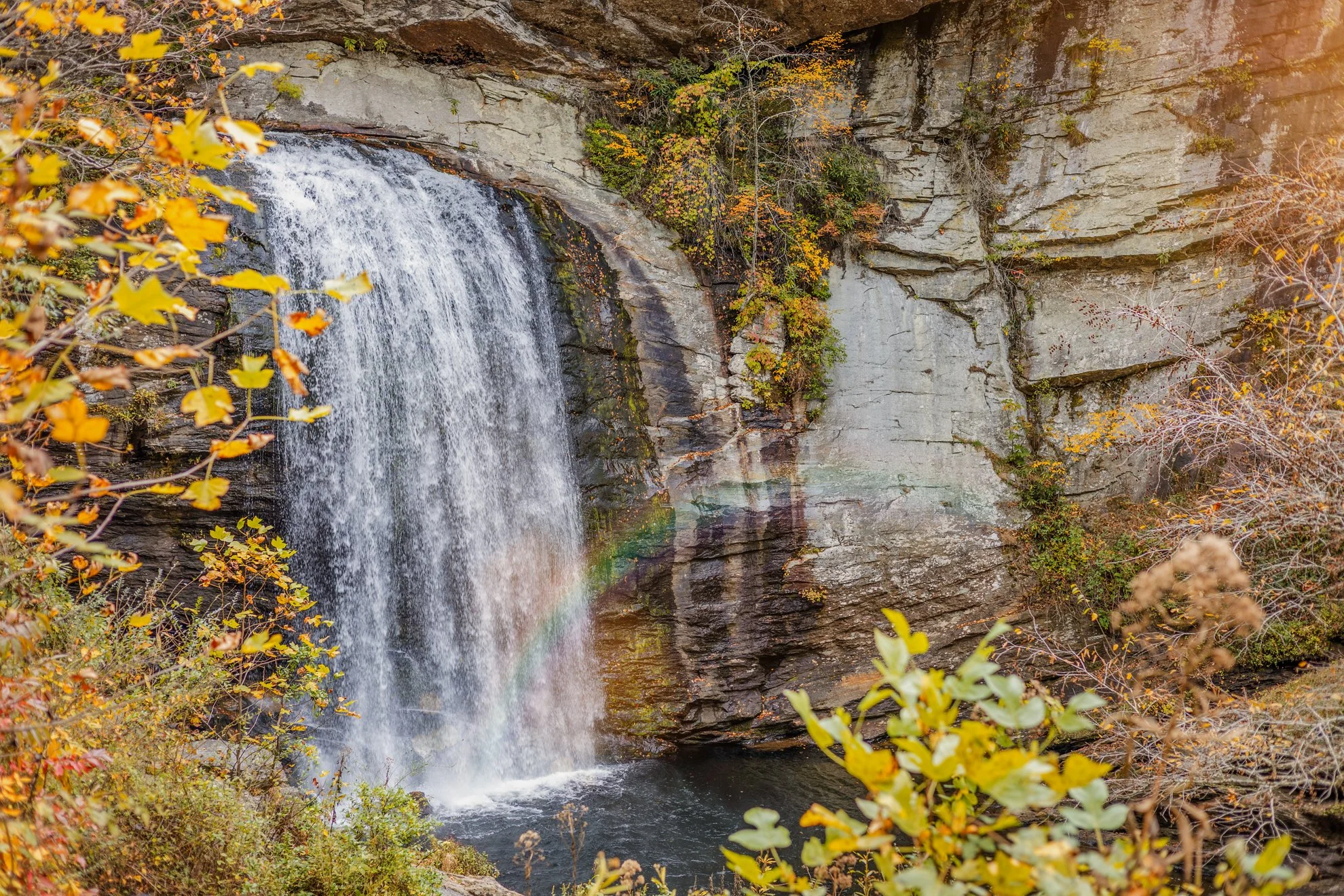 2025_10_25_IMG_0723 Looking Glass Waterfalls.jpg