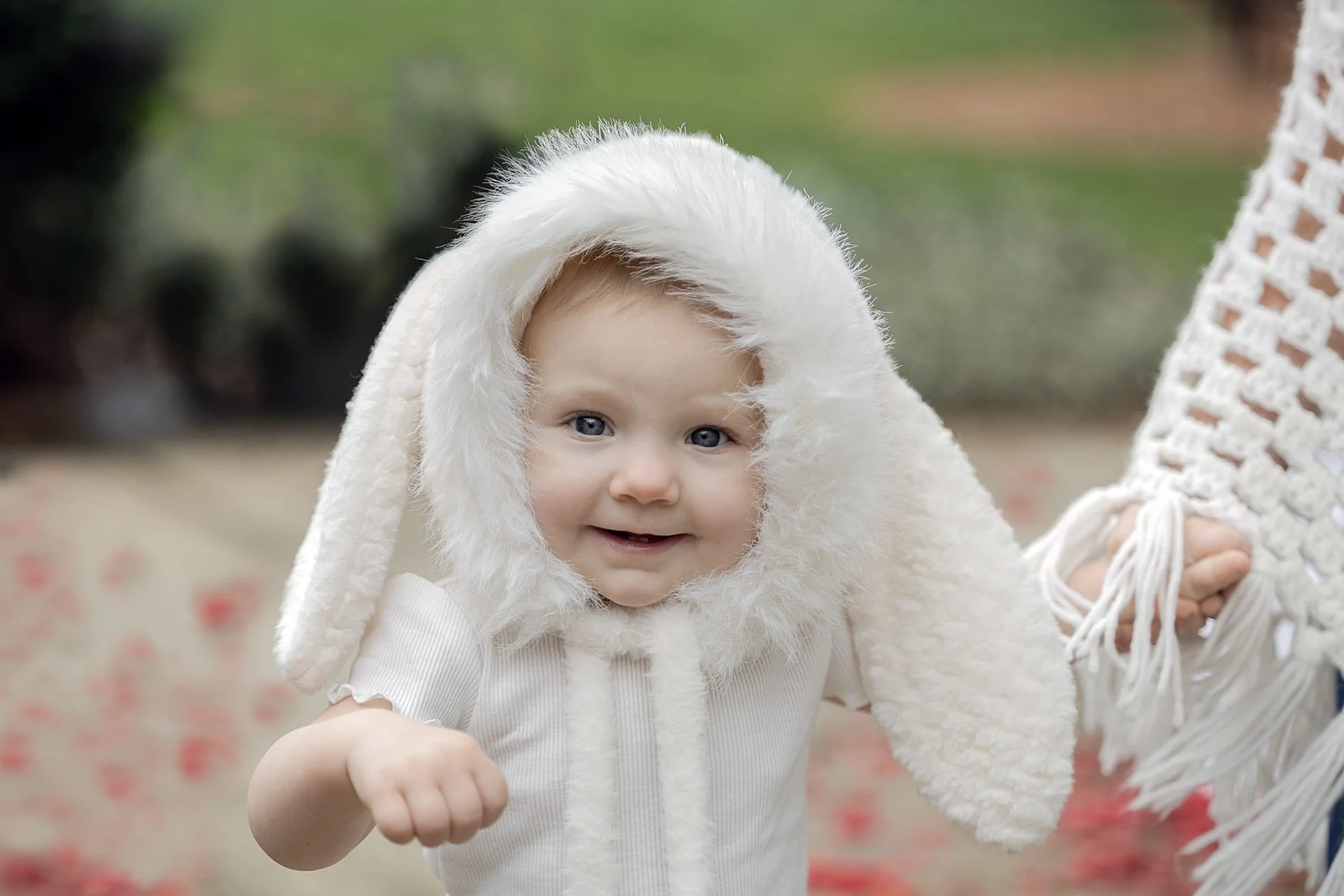 2026_02_28_IMG_0485 Funny Baby Bunny.jpg