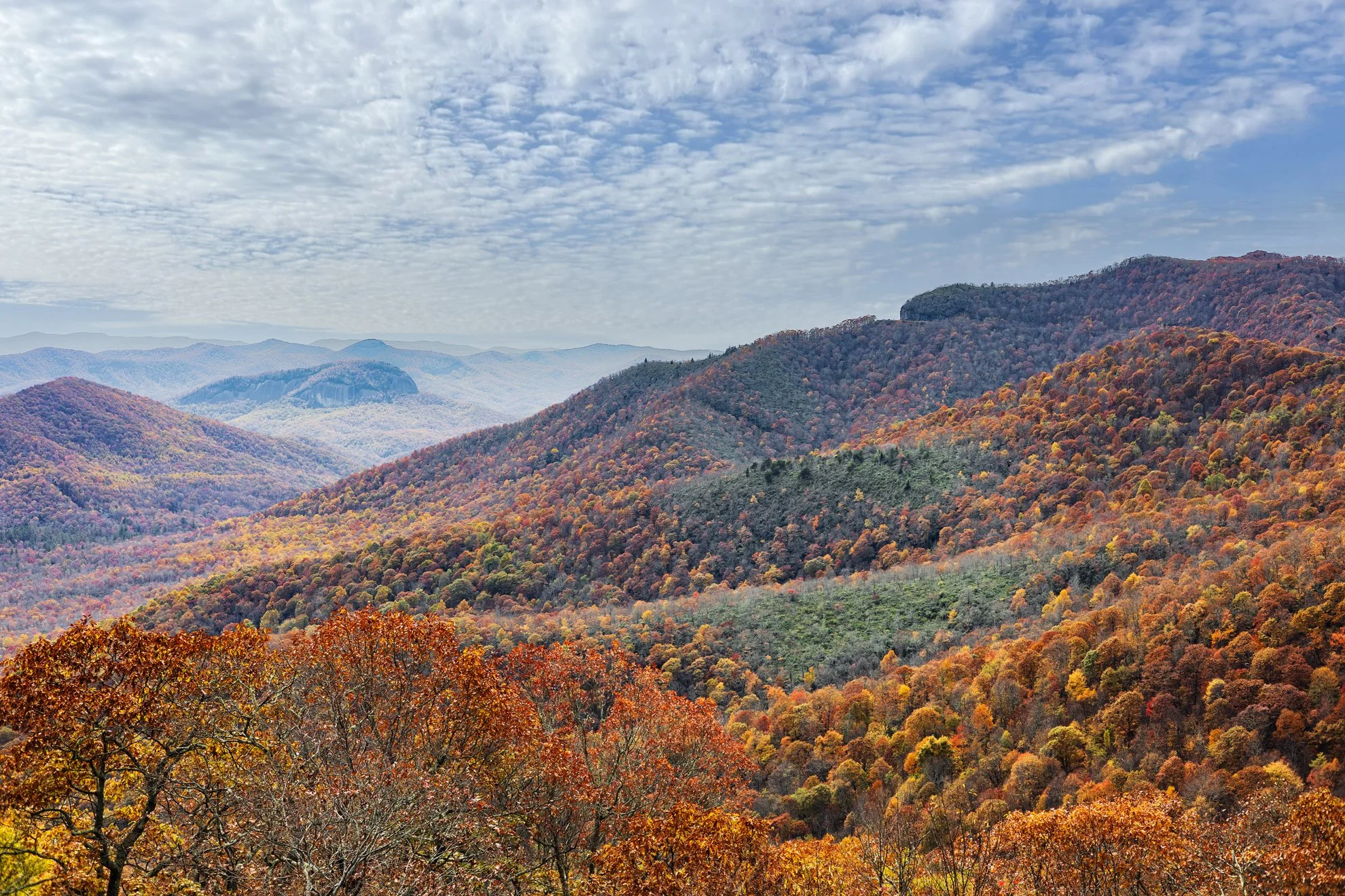 2025_10_25_IMG_0635 Blue Ridge pkwy.jpg