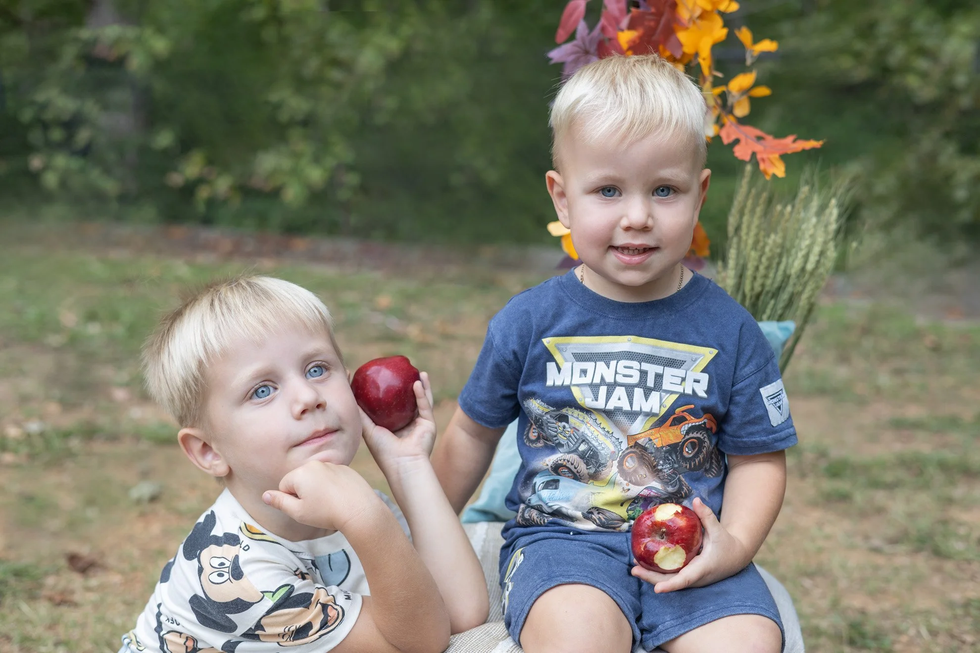 Brothers with Apples