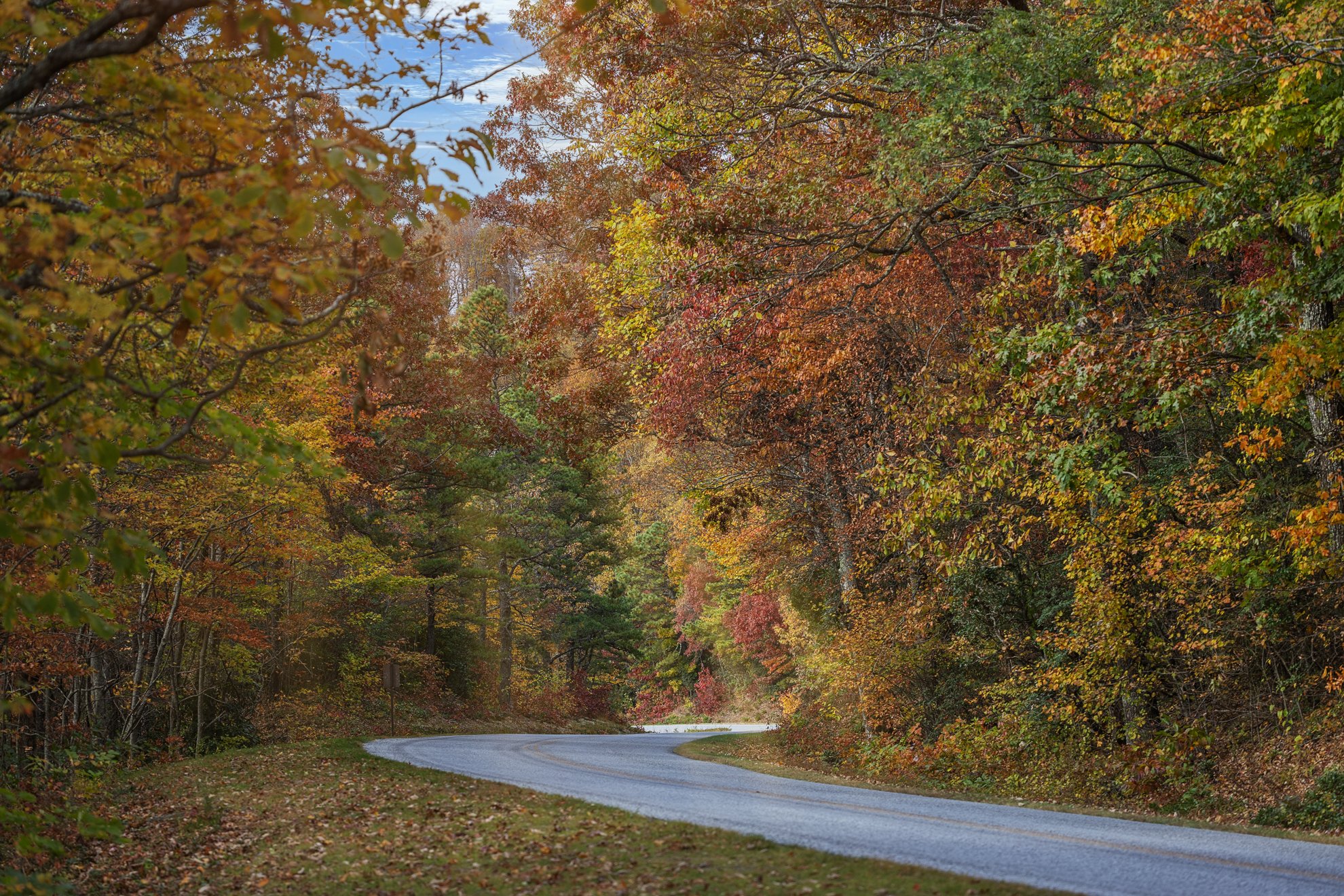 2025_10_25_IMG_0178 Blue Ridge Parkway.jpg