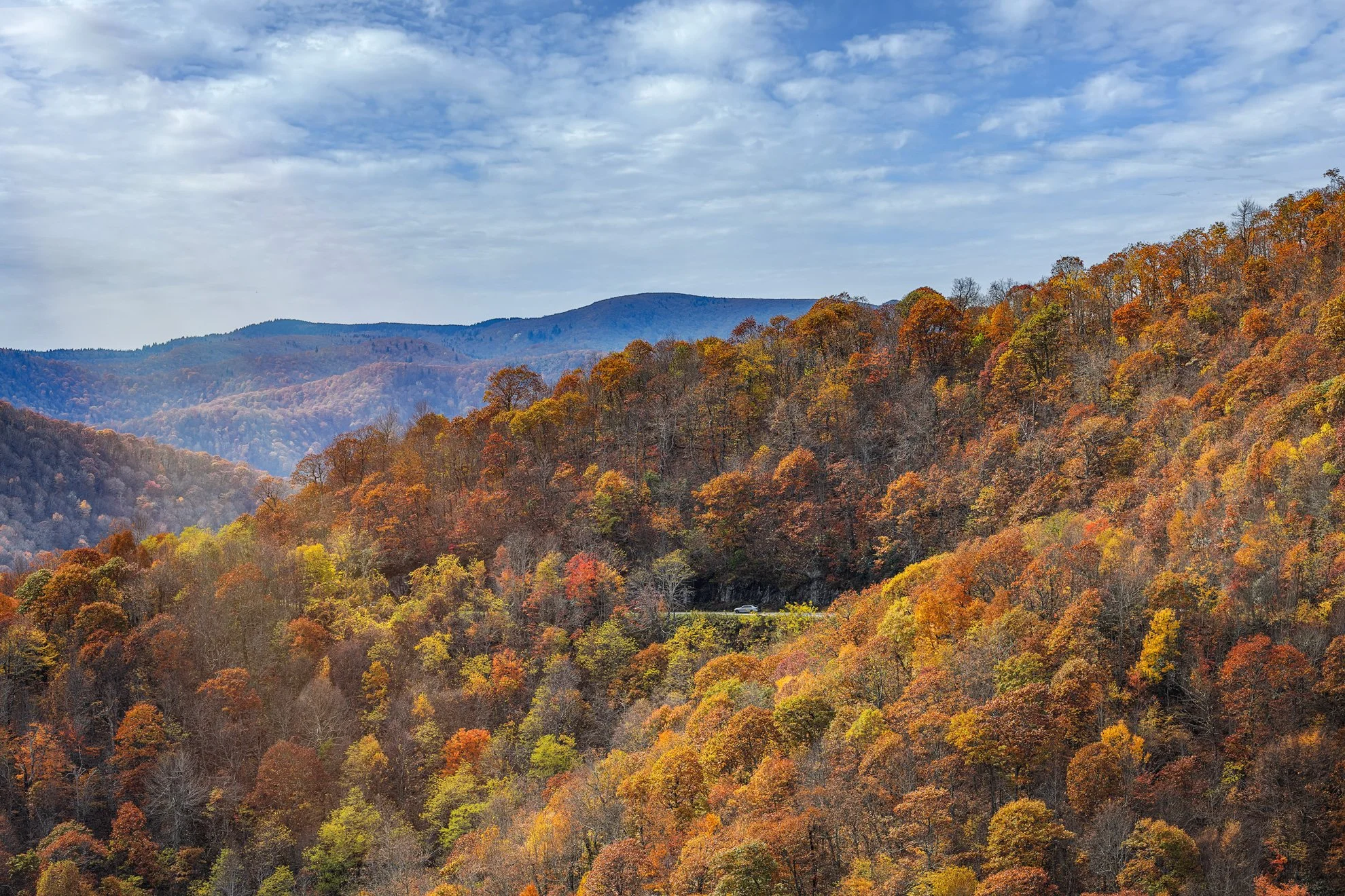 2025_10_25_IMG_0565-Blue-Ridge-pkwy.jpg