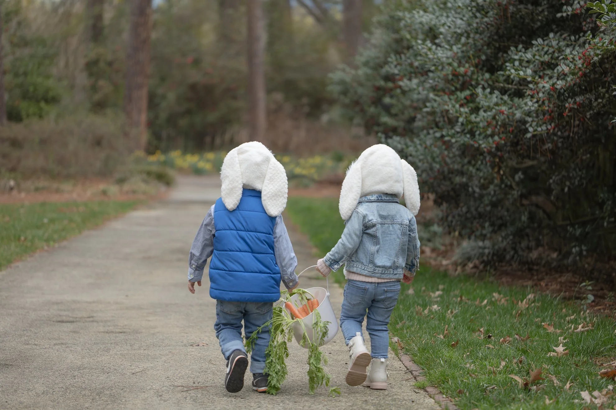 2026_02_28_IMG_0197 Funny Bunnies Siblings Carrot Stocks.jpg