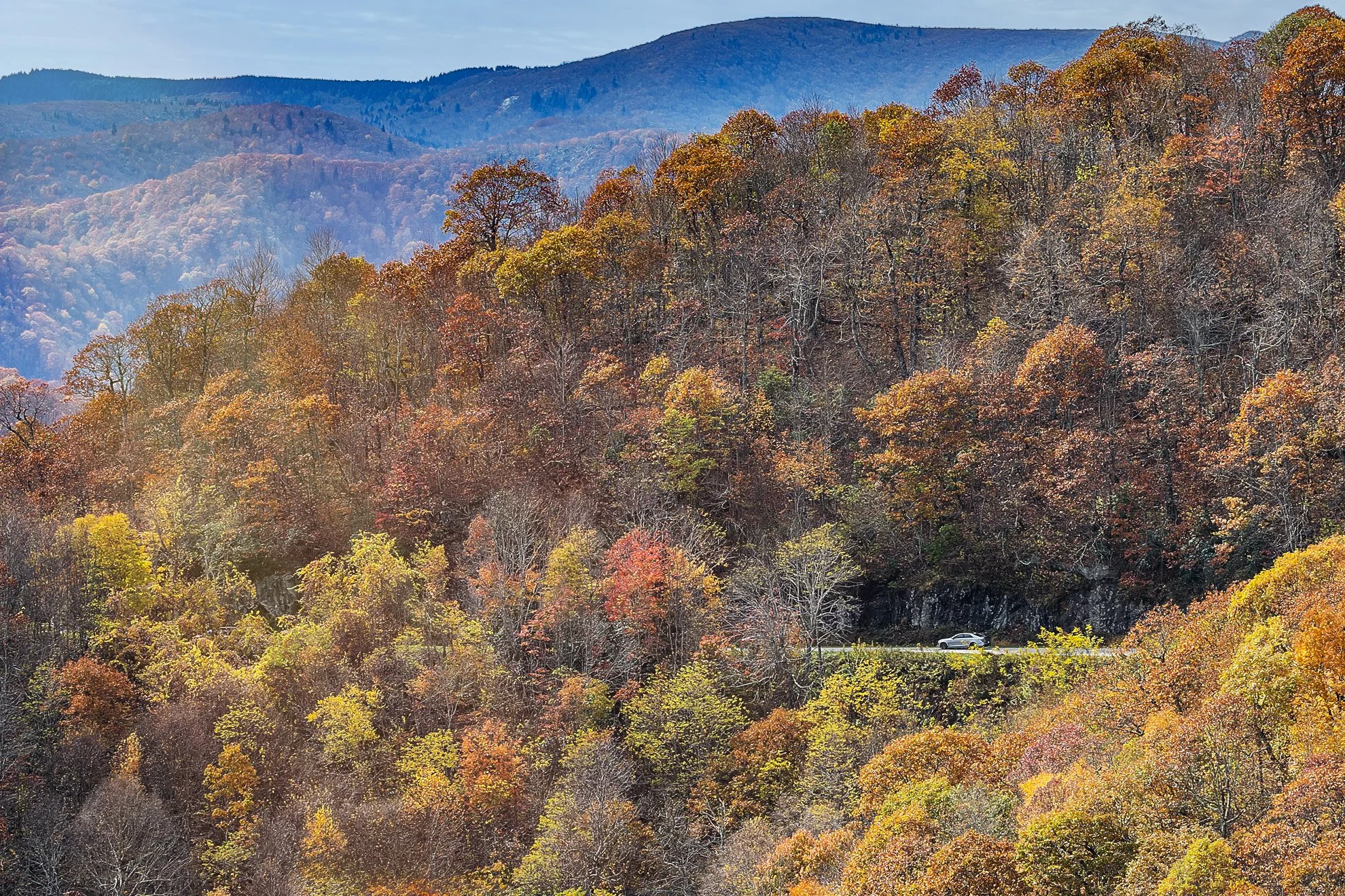 2025-10-25 Blue Ridge pkwy zoom x2.jpg