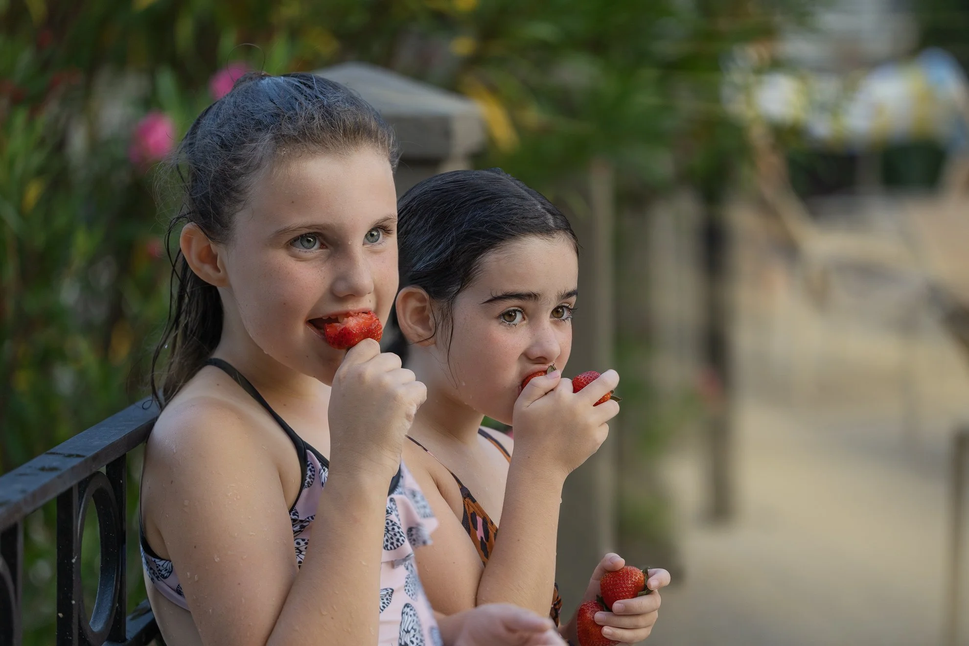 Summer Pool-Strawberry Hildhood