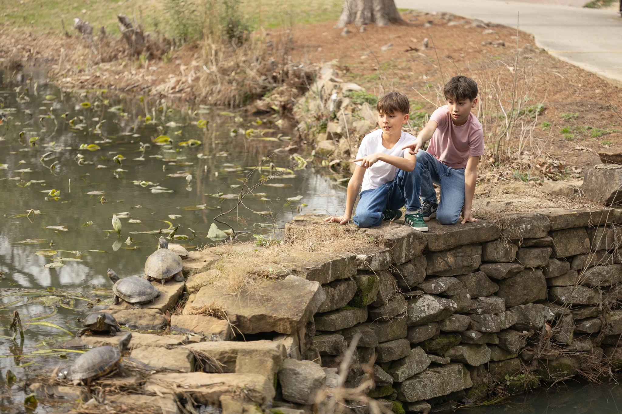 2026_03_01_IMG_1831 Boys Look at Turtles.jpg
