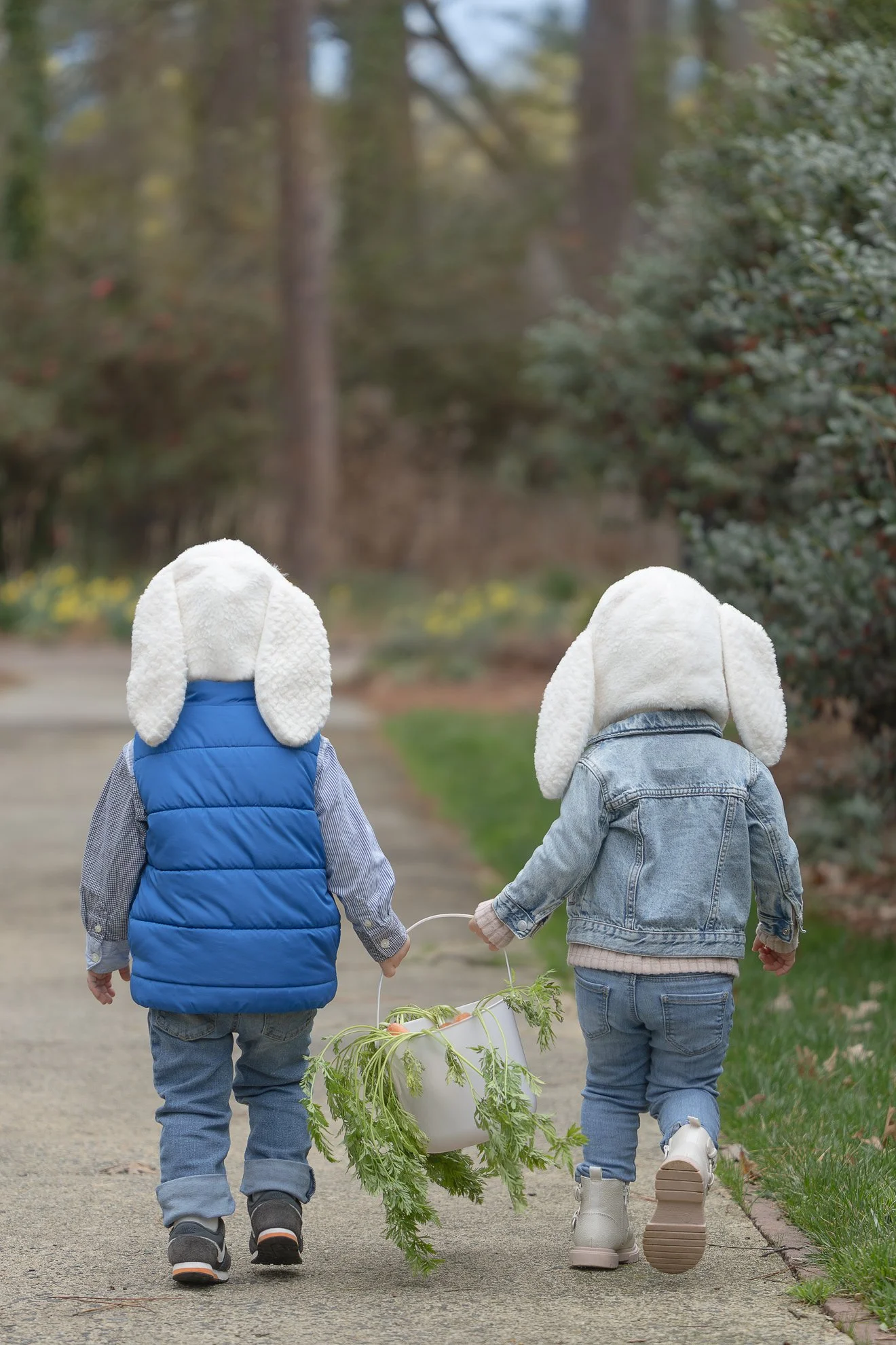 2026_02_28_IMG_0198-Funny-Bunnies---Siblings-Carrot-Stocks.jpg