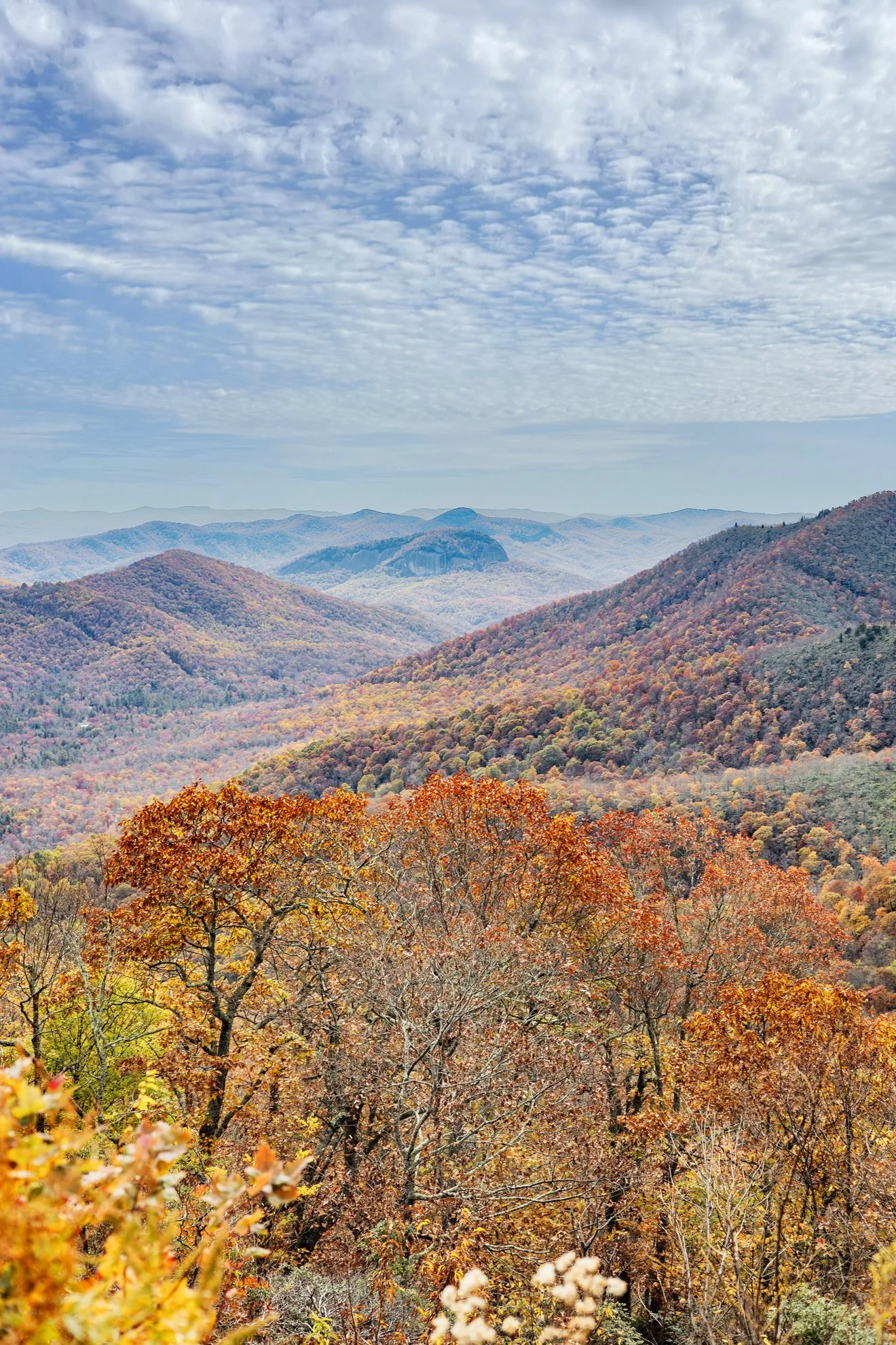 2025_10_25_IMG_0631 Blue Ridge pkwy.jpg