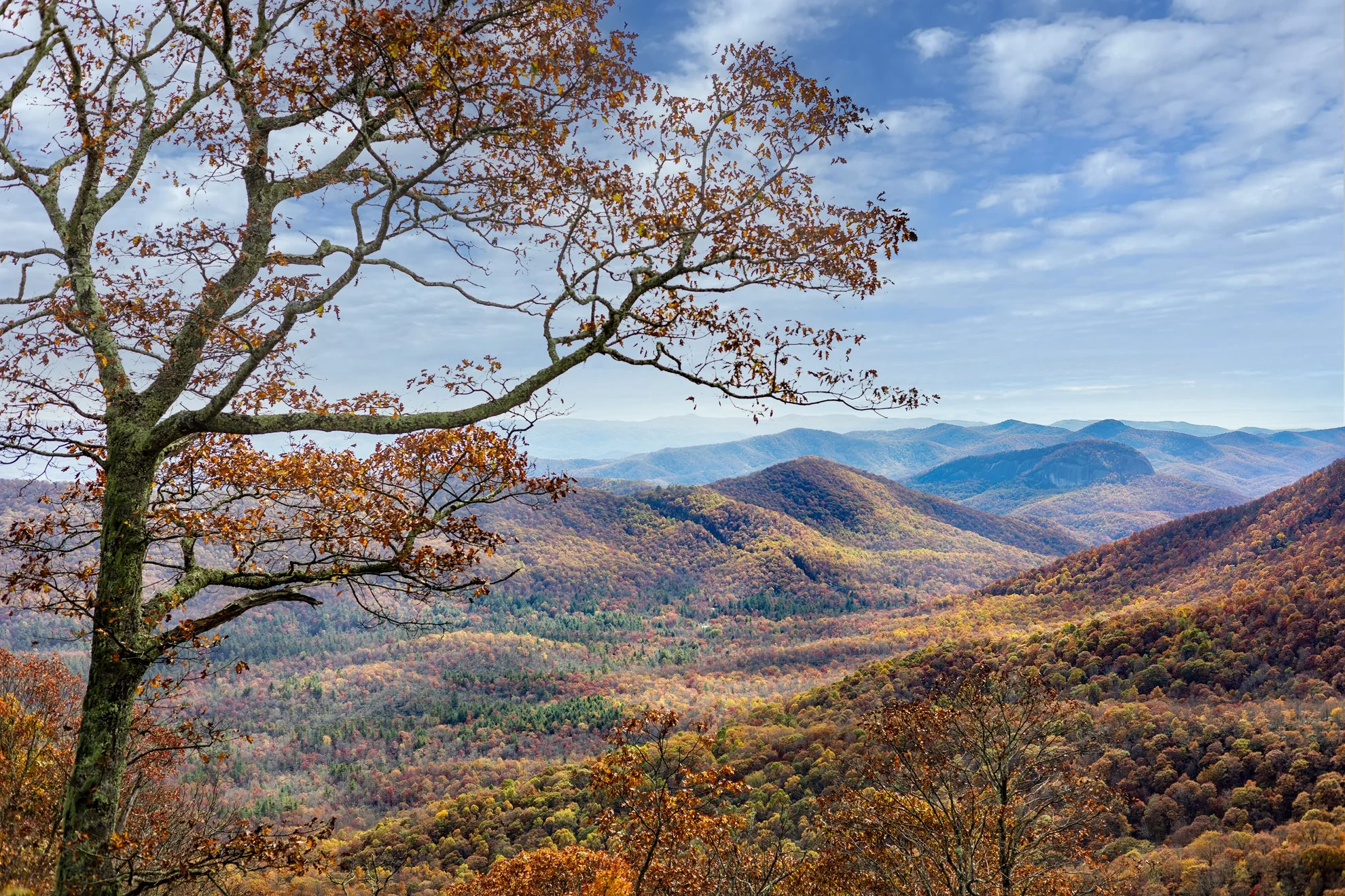 2025_10_25_IMG_0570 Blue Ridge pkwy - The Cradle of Foresty Overlook.jpg