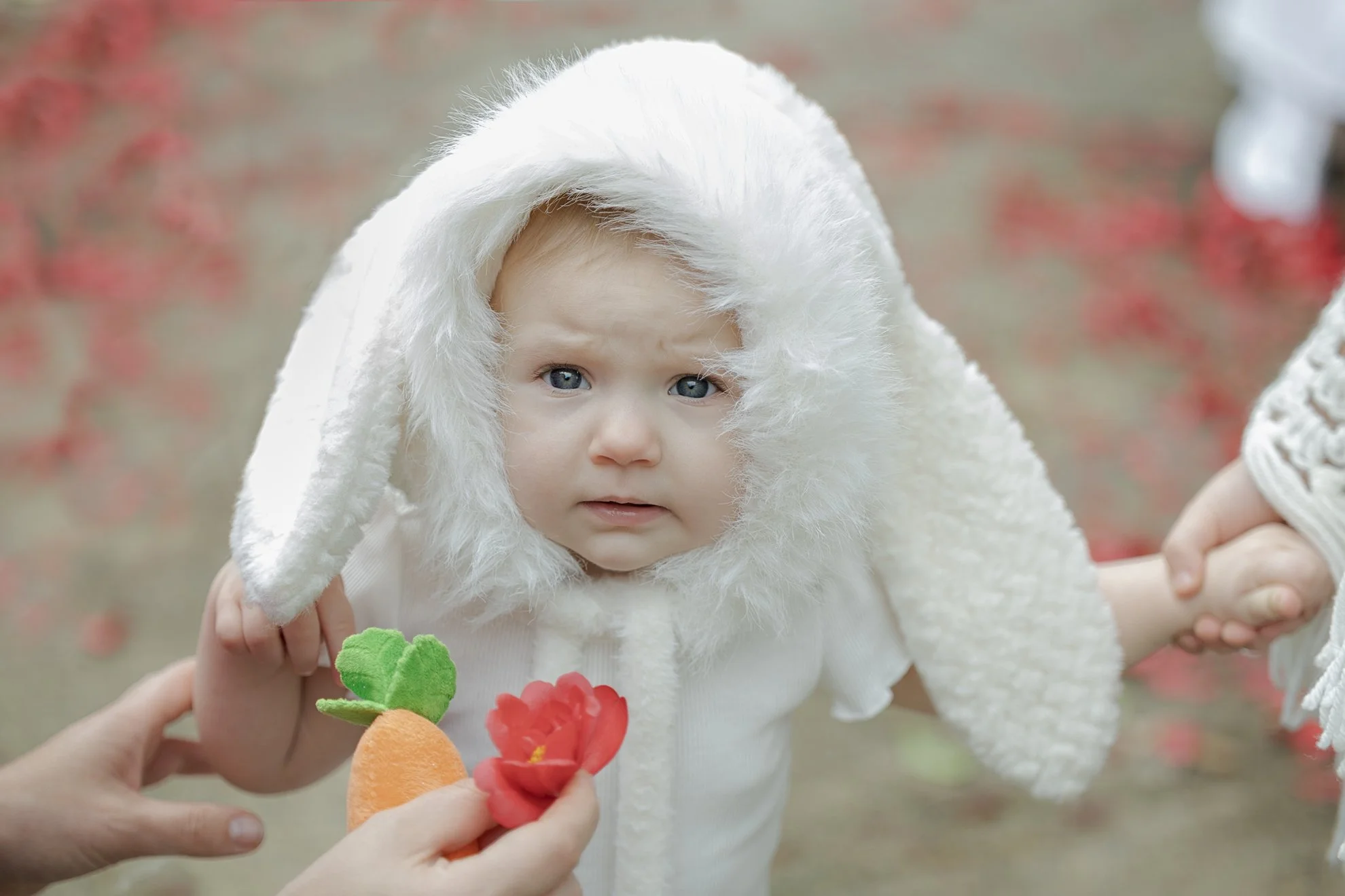 2026_02_28_IMG_0482 Funny baby Bunny.jpg