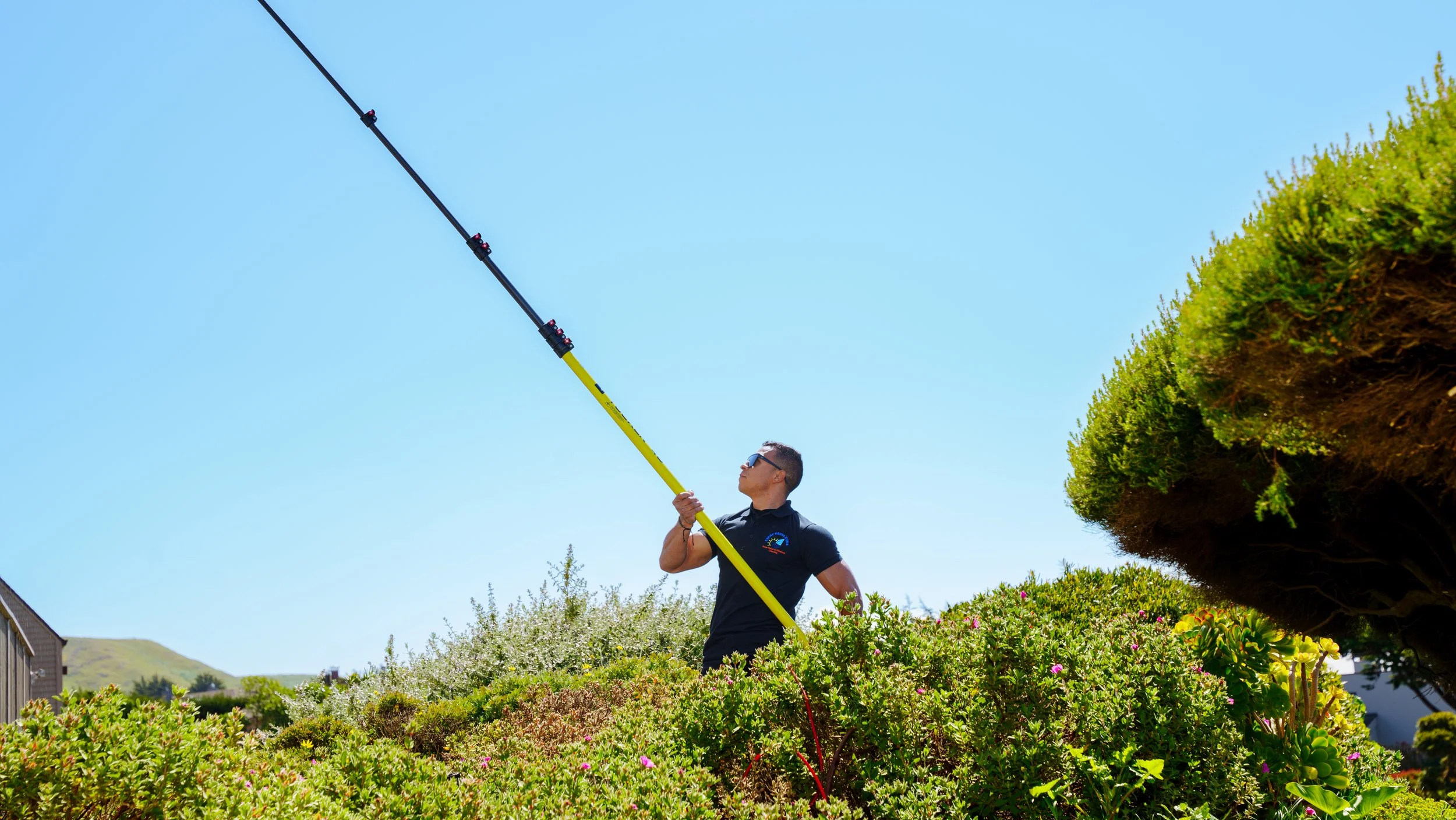 A person standing in a garden, using a long pole with a tool at the end to trim or prune a large, rounded shrub under a clear blue sky.