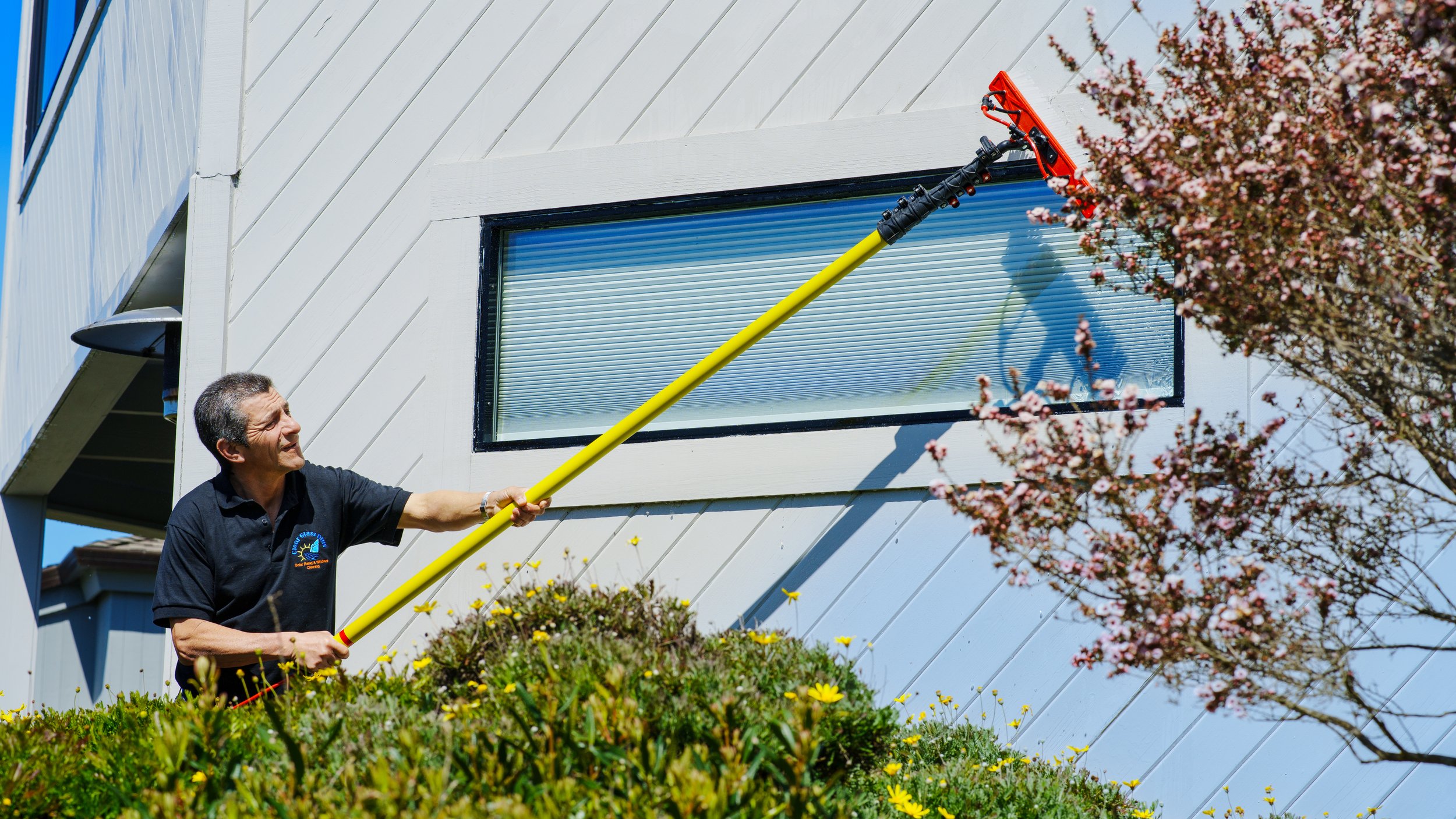 A man using a long yellow pole to clean a window on a white building with diagonal siding, surrounded by pink flowering trees and bushes with yellow flowers.