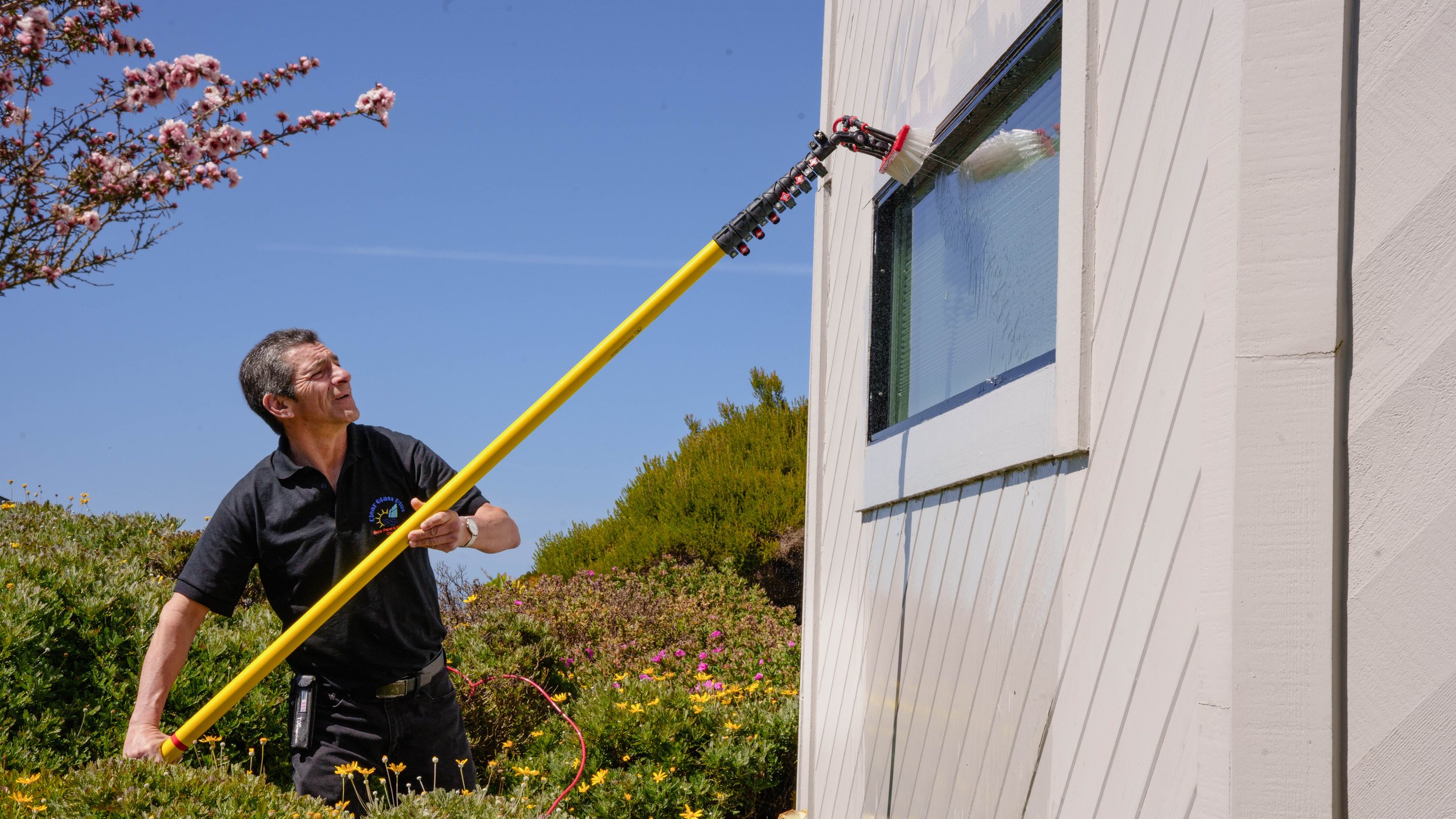 A man cleaning a window on a white house exterior with a long pole brush, outdoors with clear blue sky and pink flowering tree nearby.