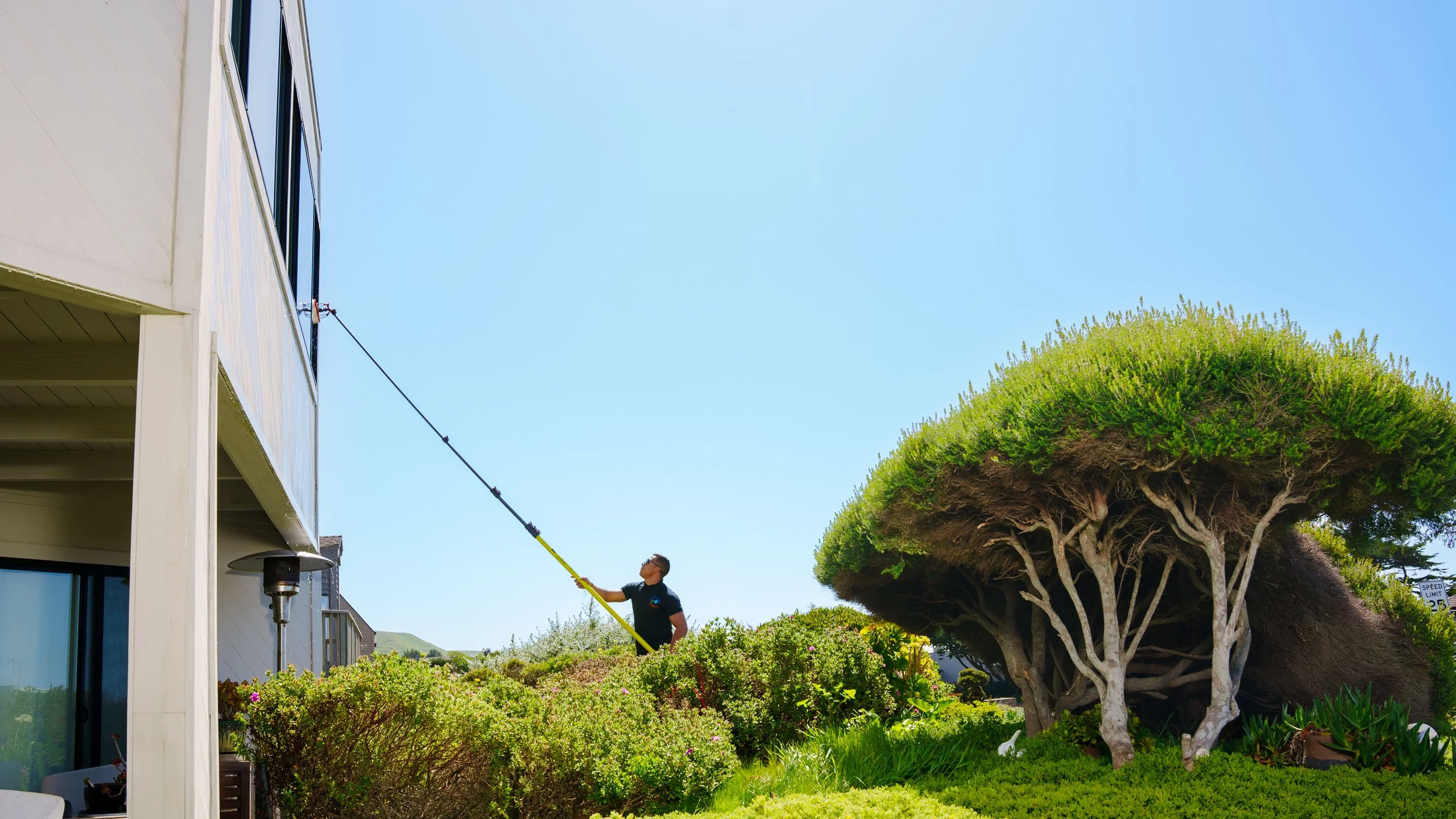 A person cleaning the exterior window of a house with an extended cleaning tool, standing on the ground outside a modern house, with green bushes and a large tree nearby under a clear blue sky.