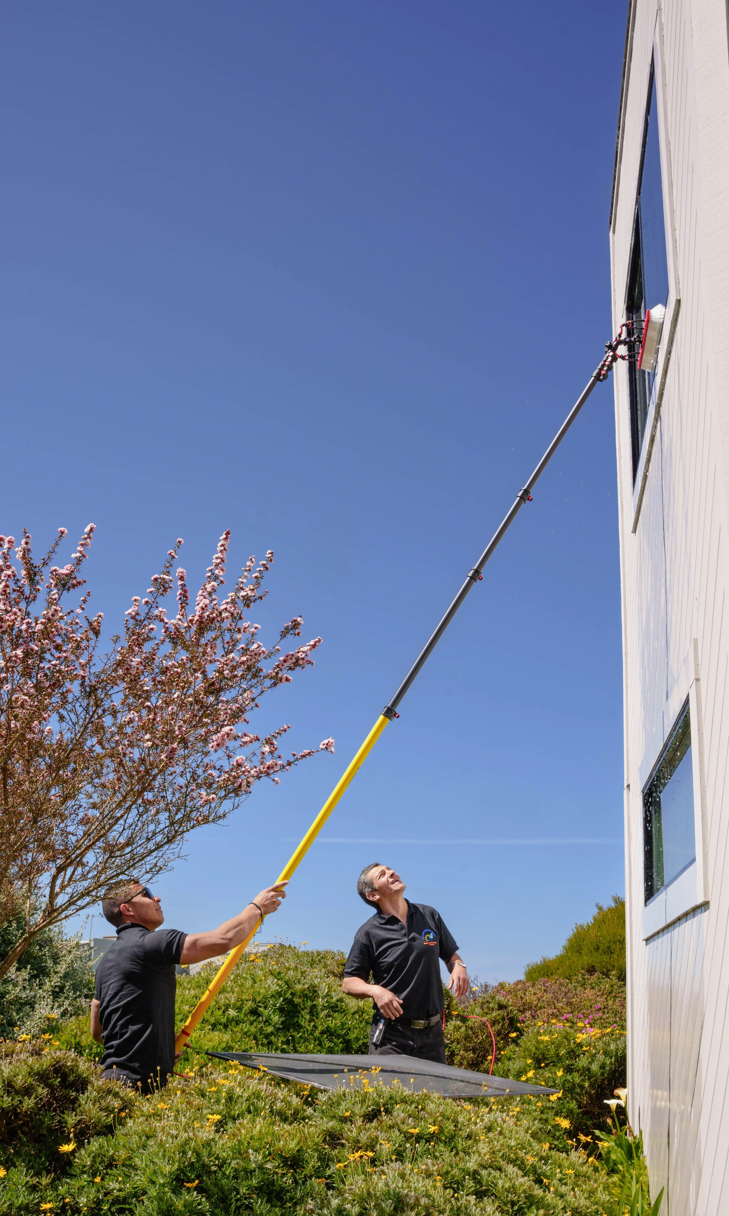 Two men install or clean a window on a building using a long cleaning tool. One man holds the tool, and the other looks up at the window. The building is white, surrounded by greenery and pink flowering trees under a clear blue sky.