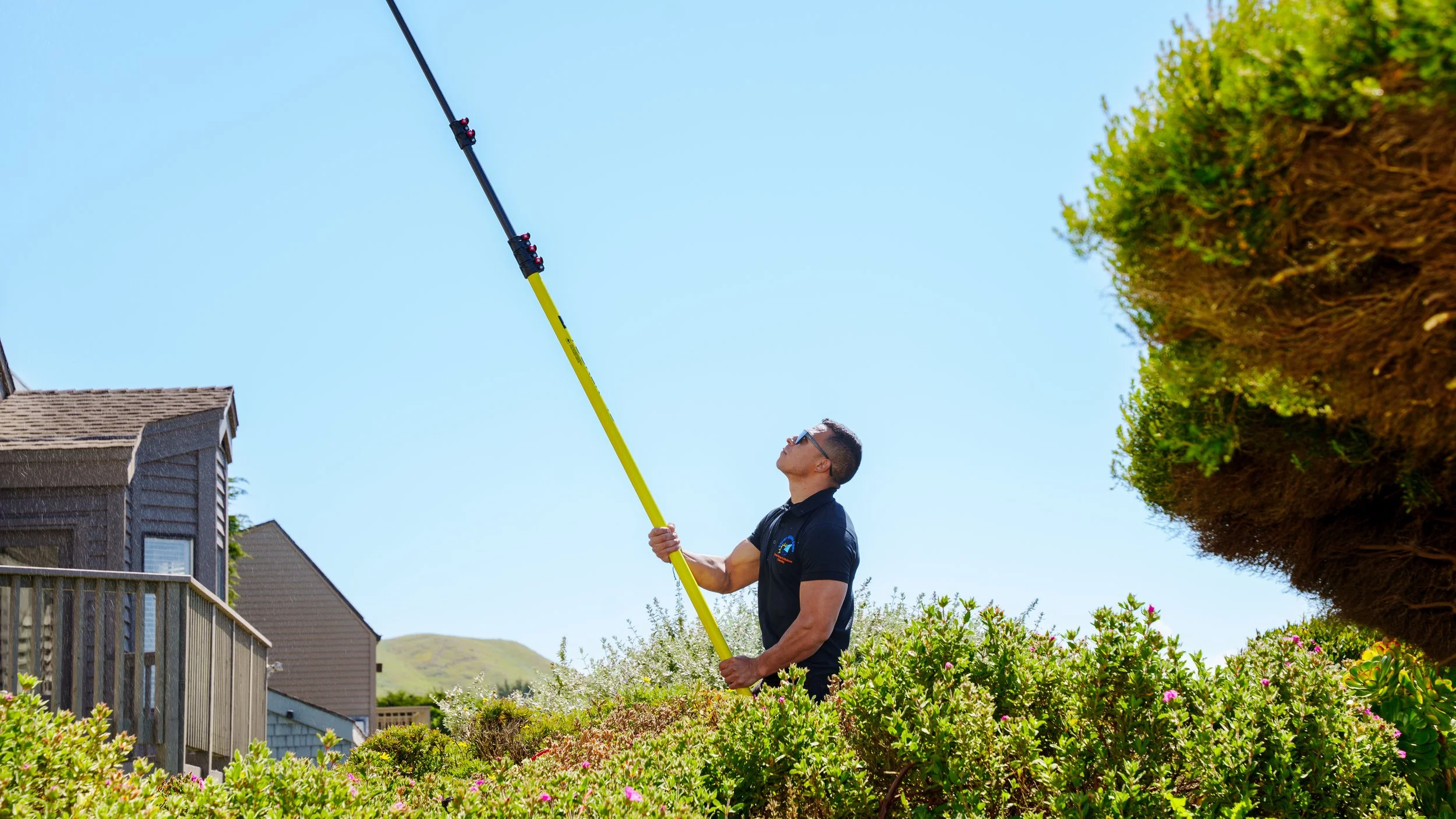 A man in sunglasses and a black polo shirt trimming bushes in a backyard garden with hedge shears on a long pole, with houses and a blue sky in the background.