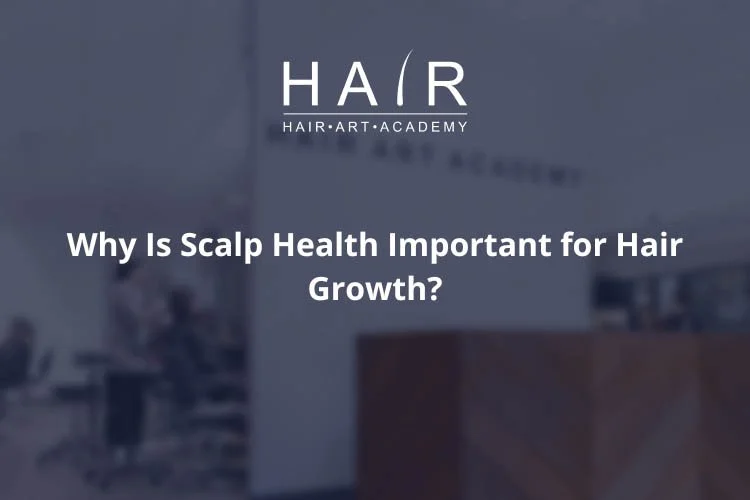 Why Is Scalp Health Important for Hair Growth?