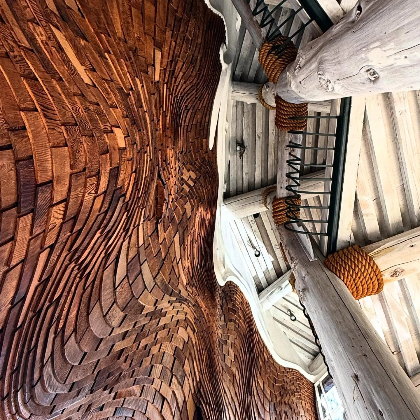 This is what we mean when we say you don't really need mind altering substances at The Whale House. Let her curves do all the reality bending for you. She's a trip. Took this today while laying down and talking to @nataliegraceland on the phone.