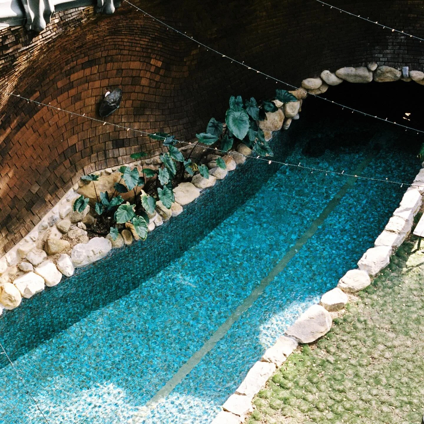 some shots from @duncan.a.nielsen's visit 🐬🐬💓💓