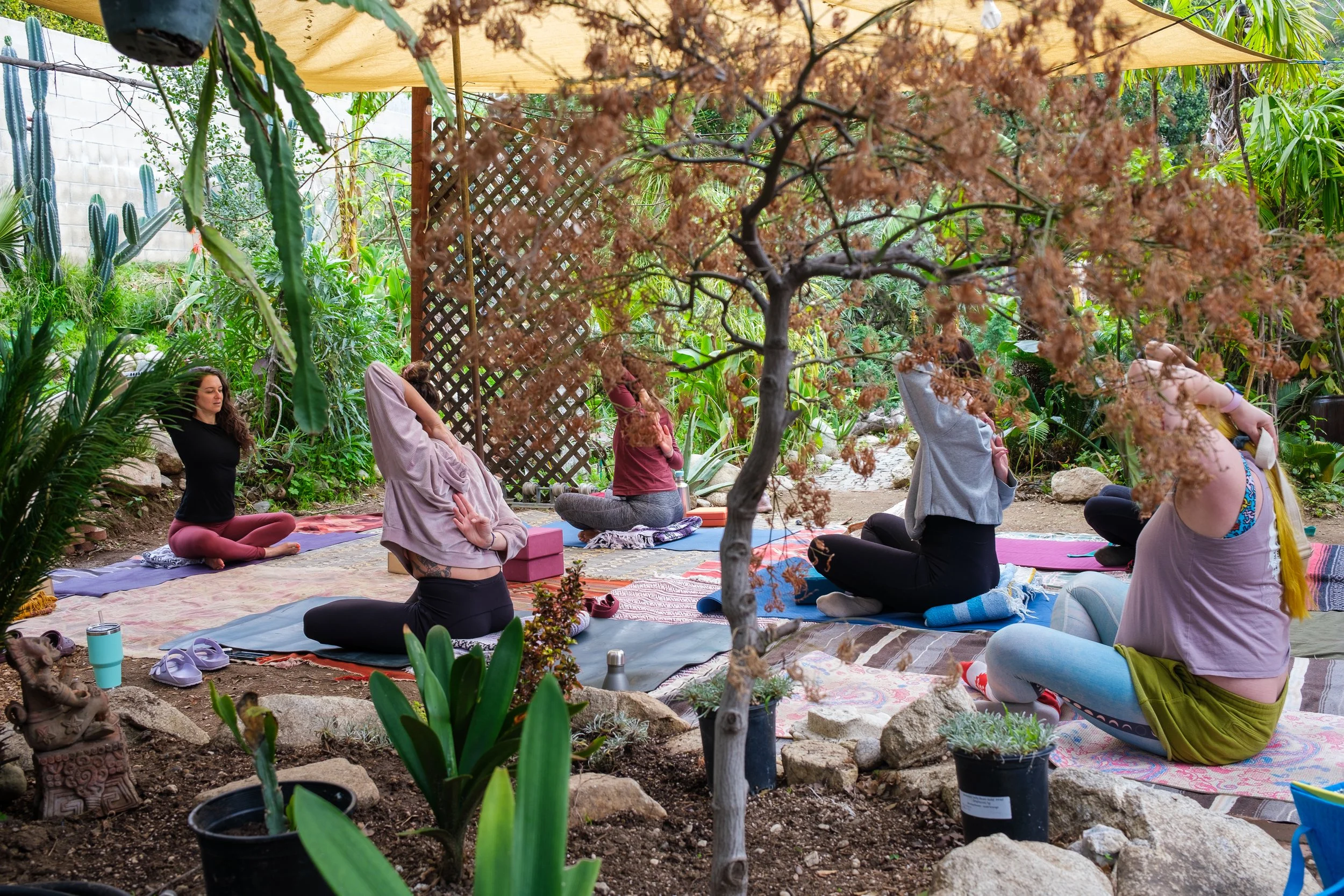 People participating in a outdoor yoga or meditation class surrounded by lush greenery, trees, and plants. They are sitting on mats with some wearing comfortable clothing, in a relaxed and peaceful setting under a canopy.