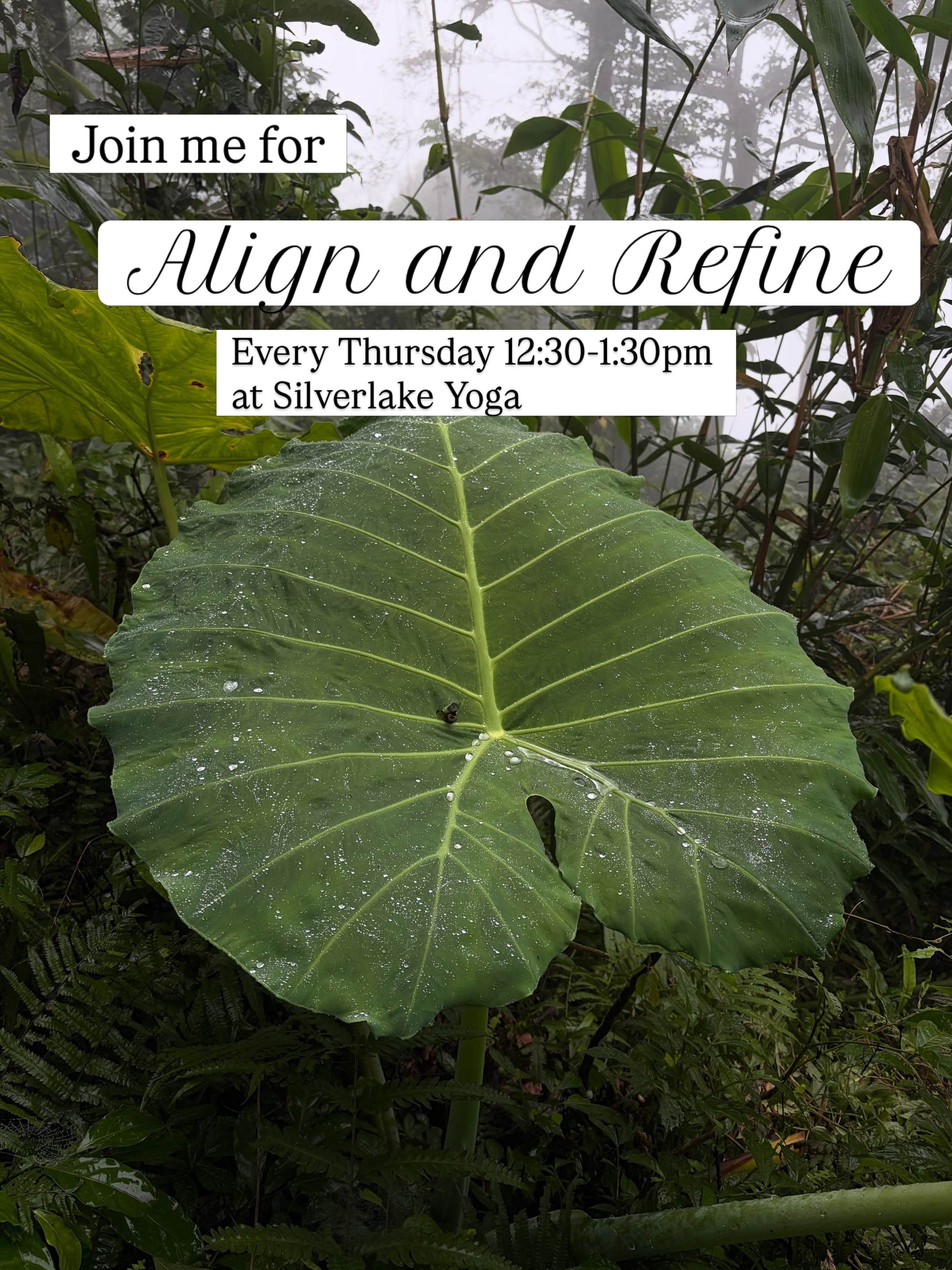 Let&rsquo;s practice together! 
Align and Refine
with Courtnay Robbins @everymomentaware 
Every Thursday 12:30-1:30pm at @silverlakeyoga 

This class emphasizes the foundations of yoga practice. We will go in depth into alignment and structure, with 