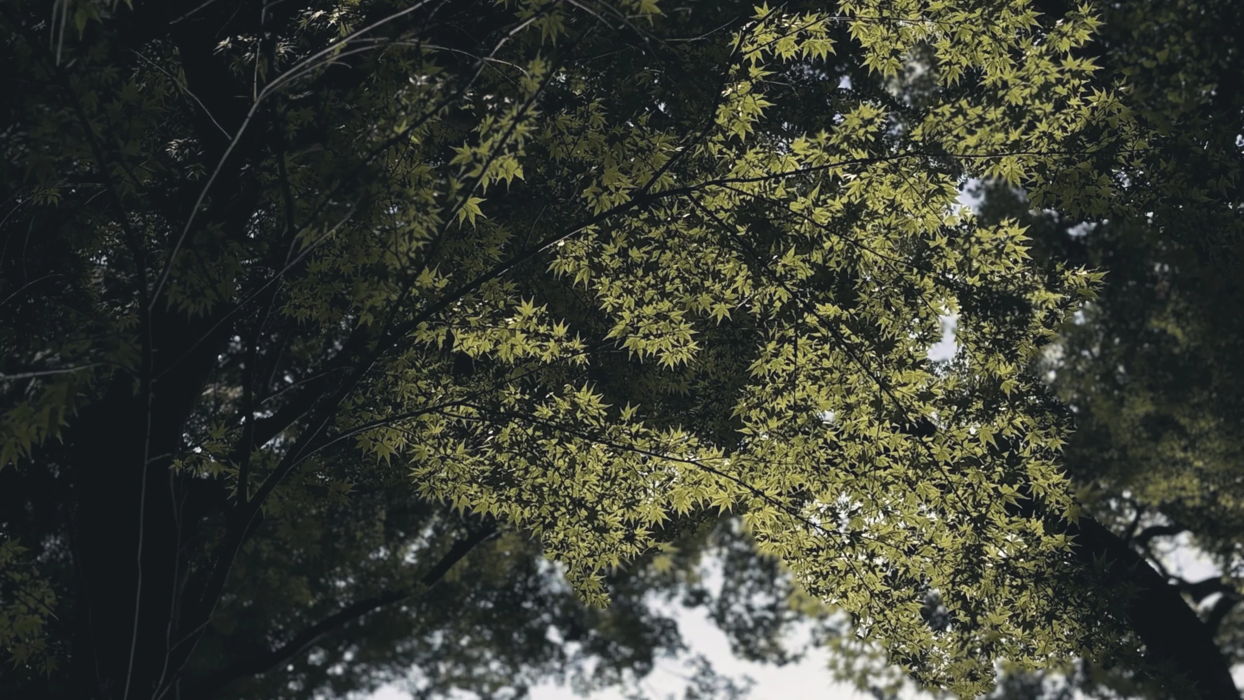 structure vs. intuition: what lays a better framework for a daily practice