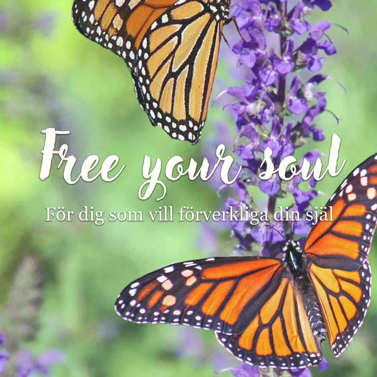 Varmt v&auml;lkommen p&aring; &quot;Free your Soul&quot;
P&aring; onsdag 17 april kl.18.30-20
Live online p&aring; Zoom

F&ouml;r dig som vill leva sant fr&aring;n sj&auml;len och g&aring; din sj&auml;lsliga v&auml;g i livet

Inspirationsf&ouml;rel&a